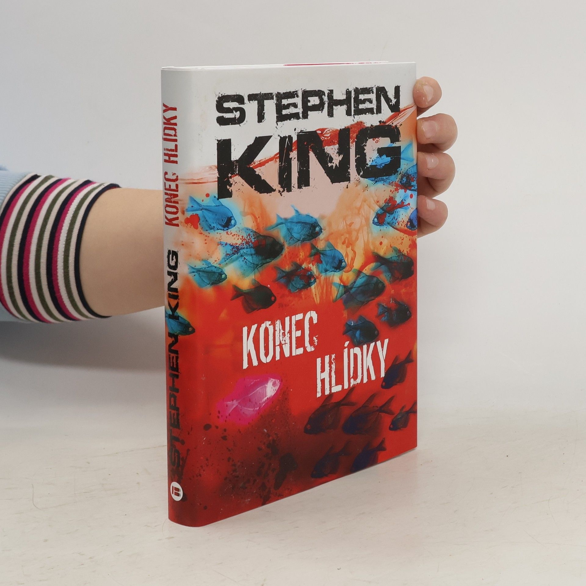 Stephen King Konec hlídky
