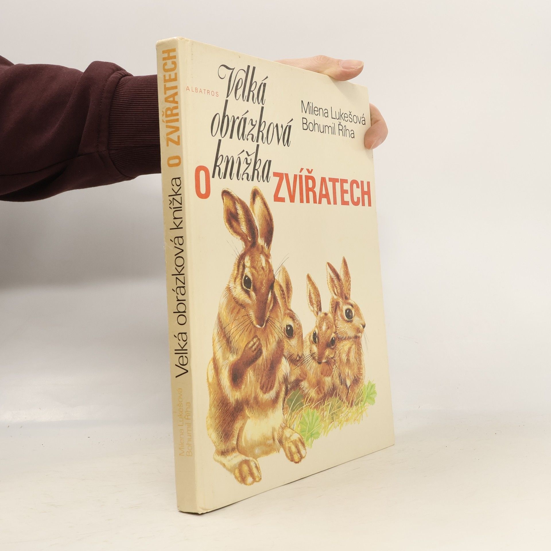 Velká obrázková knížka o zvířatech