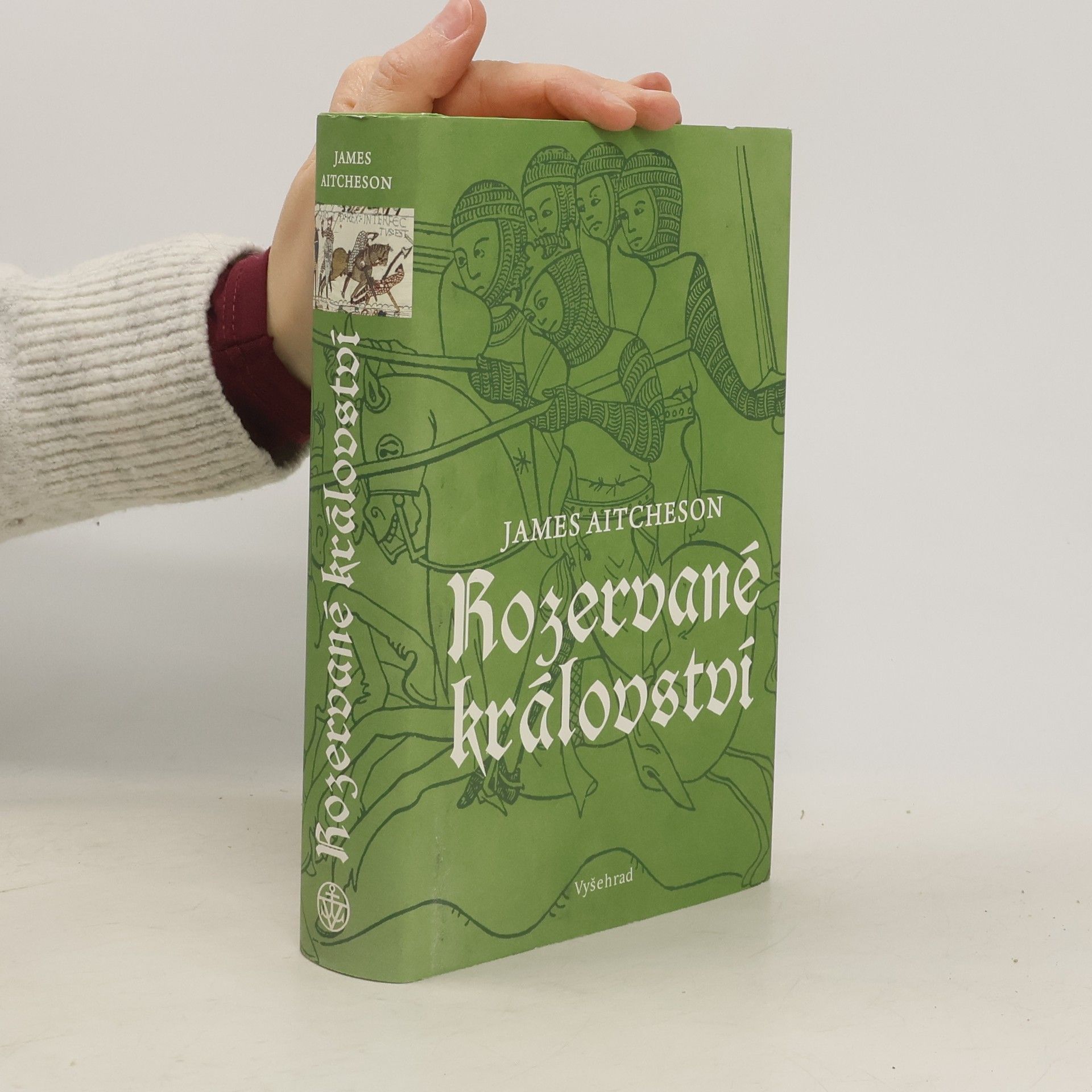 James Aitcheson Rozervané království