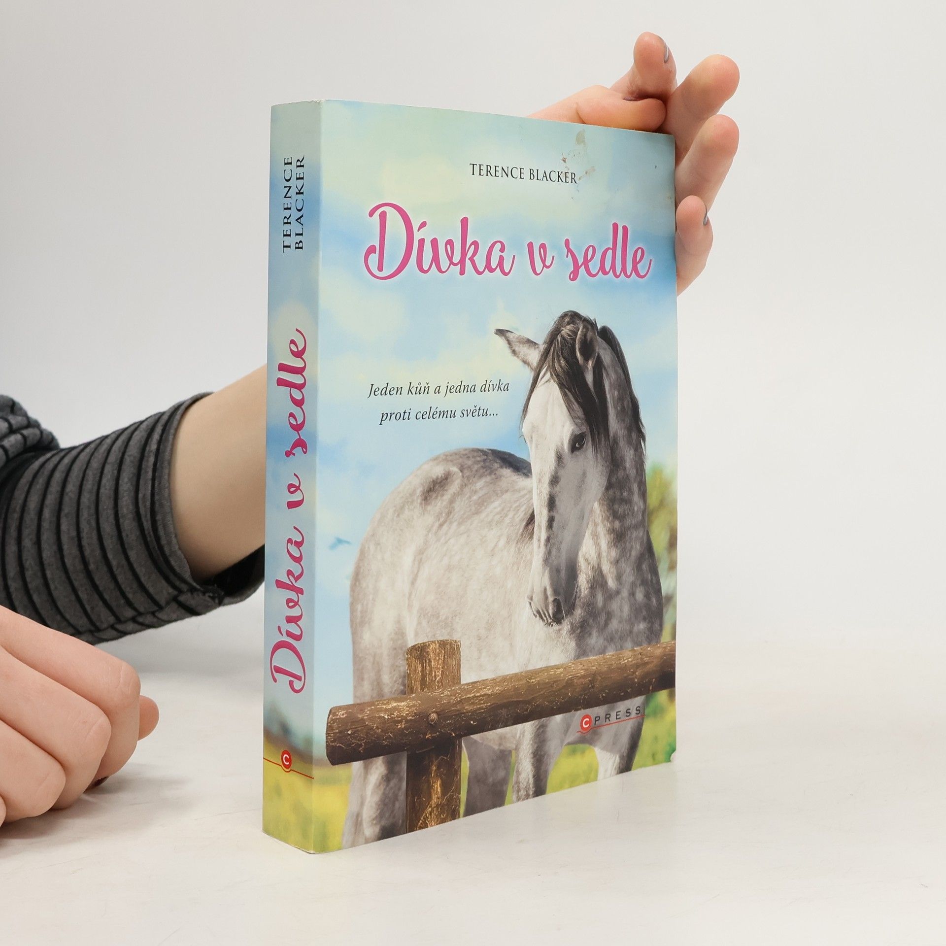Terence Blacker Dívka v sedle