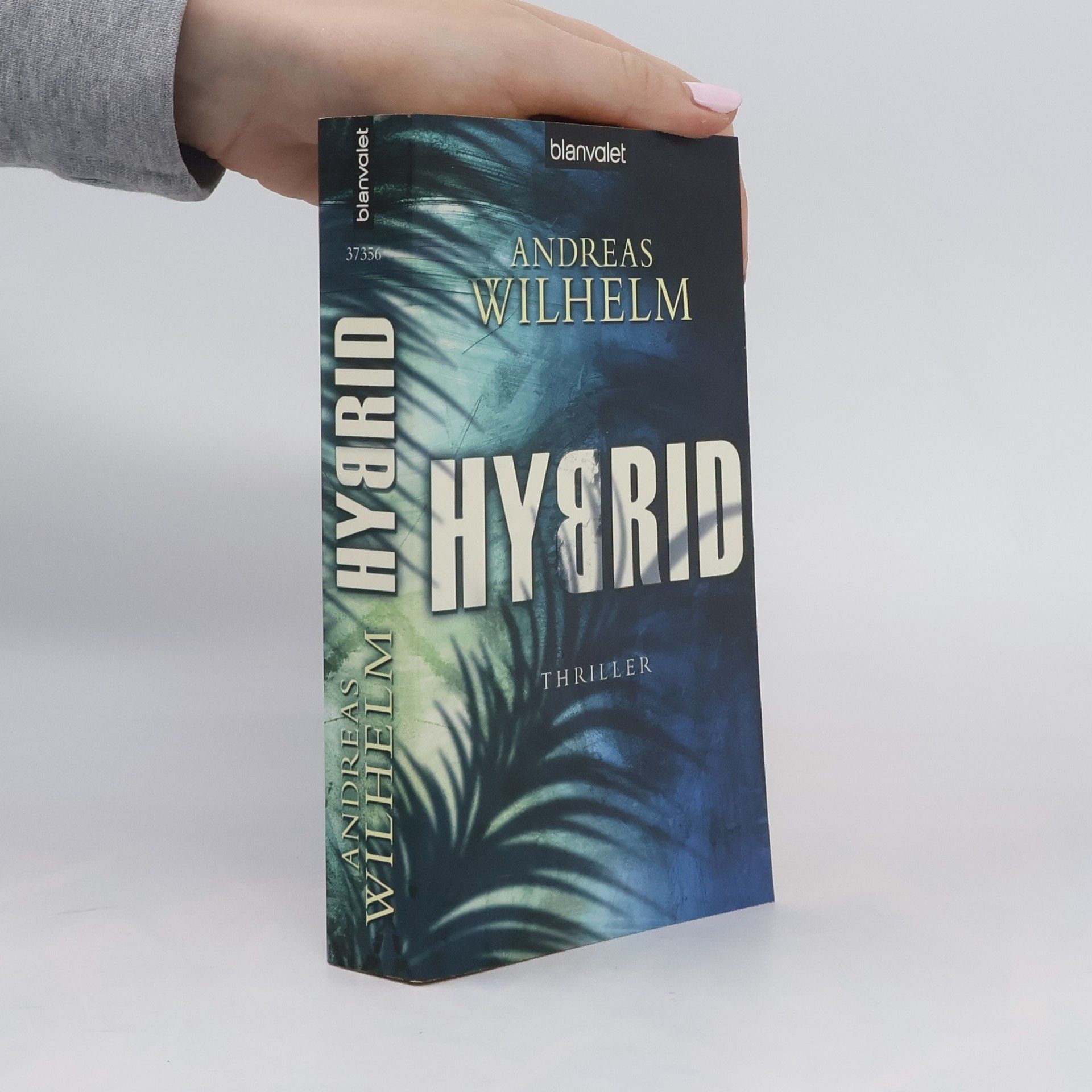 Andreas Wilhelm Hybrid