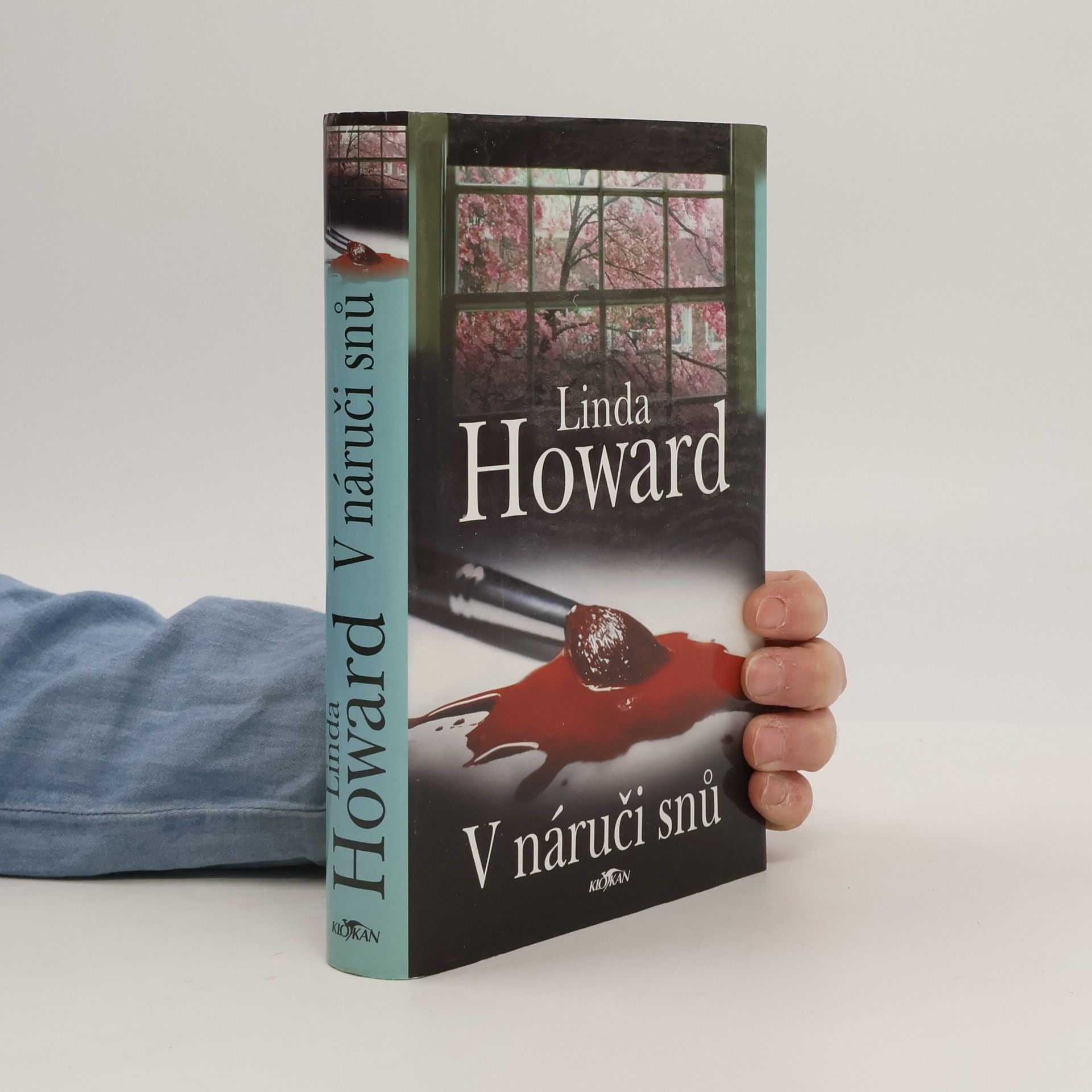 Linda Howard V náruči snů
