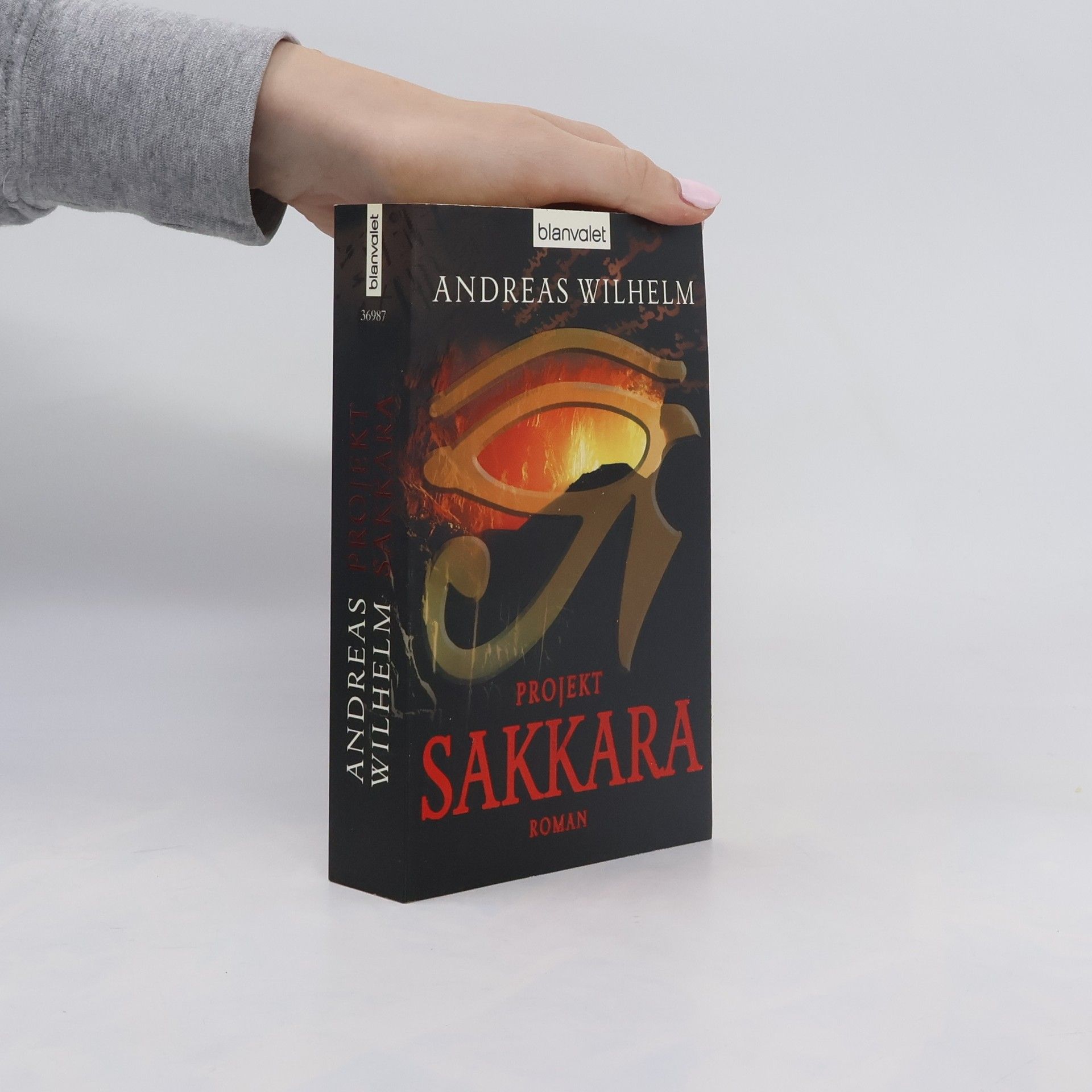 Andreas Wilhelm Projekt: Sakkara