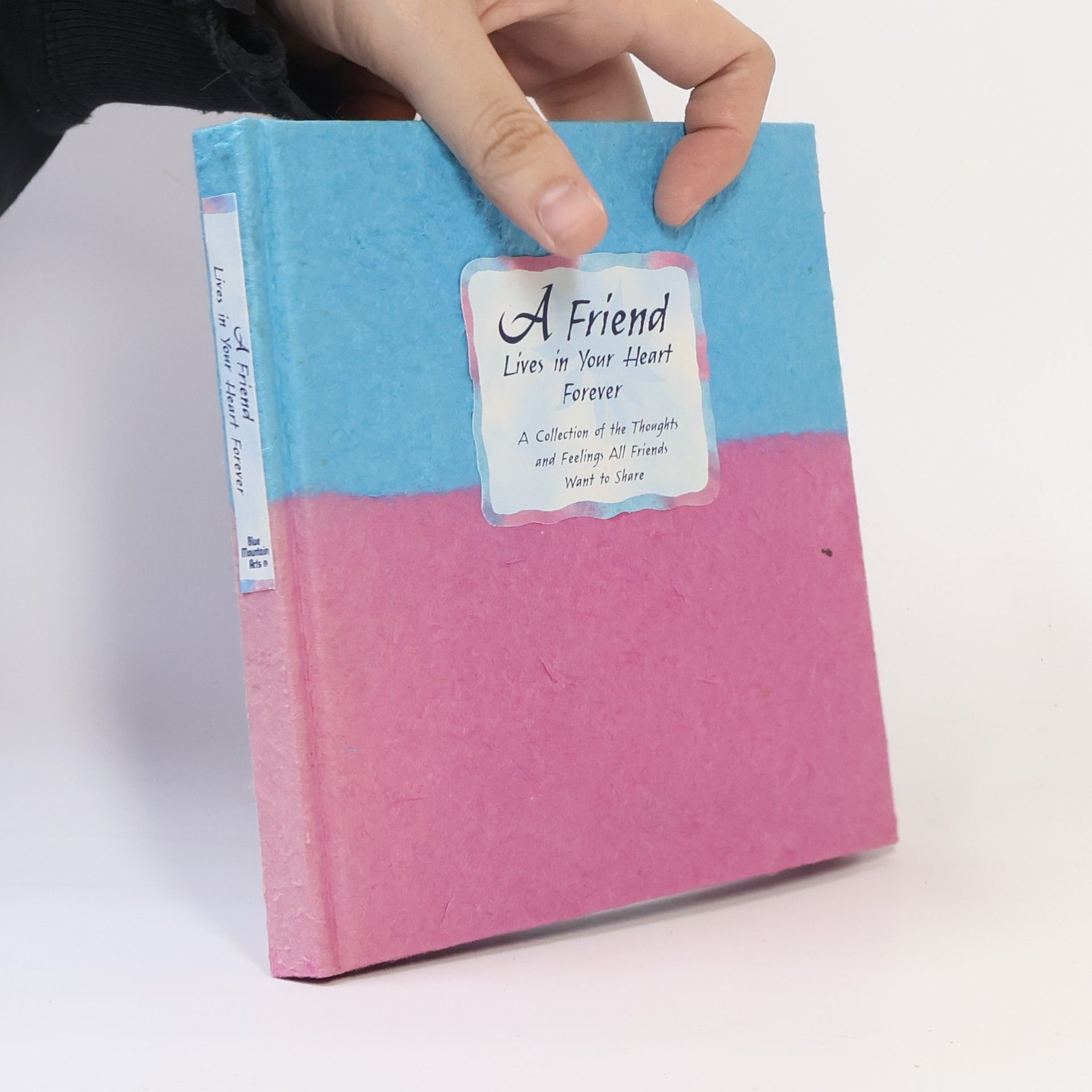 Autorenkollektiv A Friend Lives in Your Heart Forever