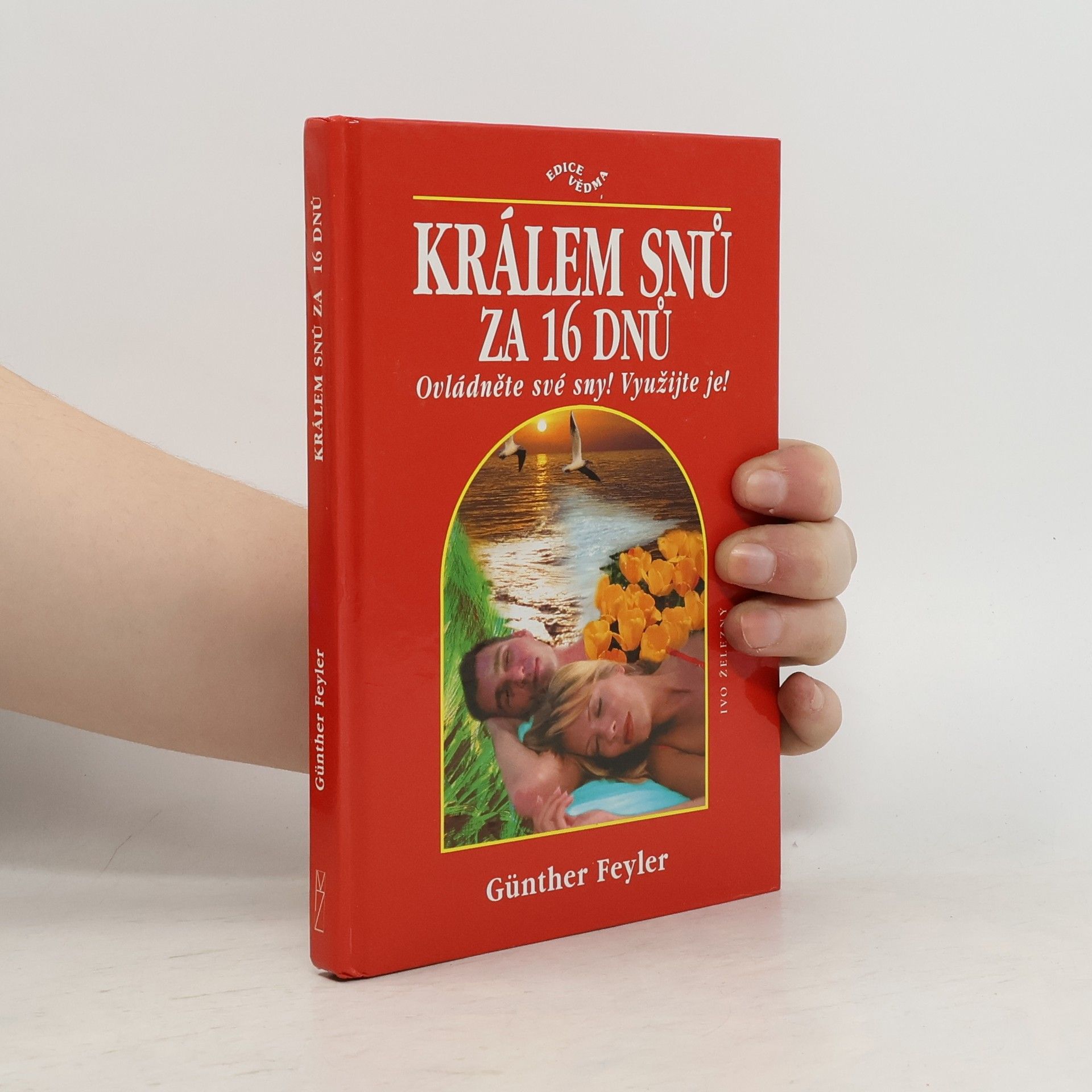 Günther Feyler Králem snů za 16 dnů : ovládněte své sny! : využijte je!