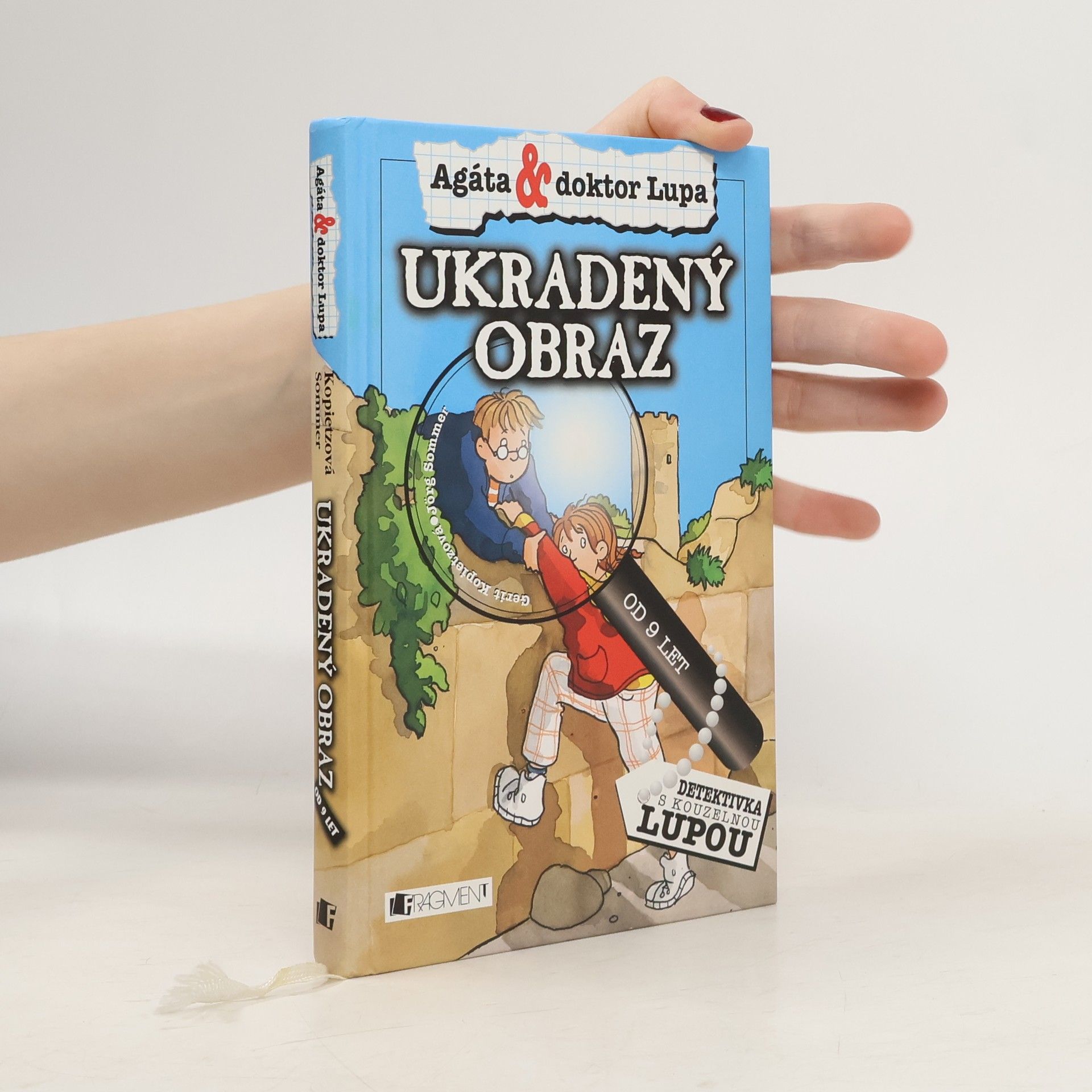 Jörg Sommer Ukradený obraz