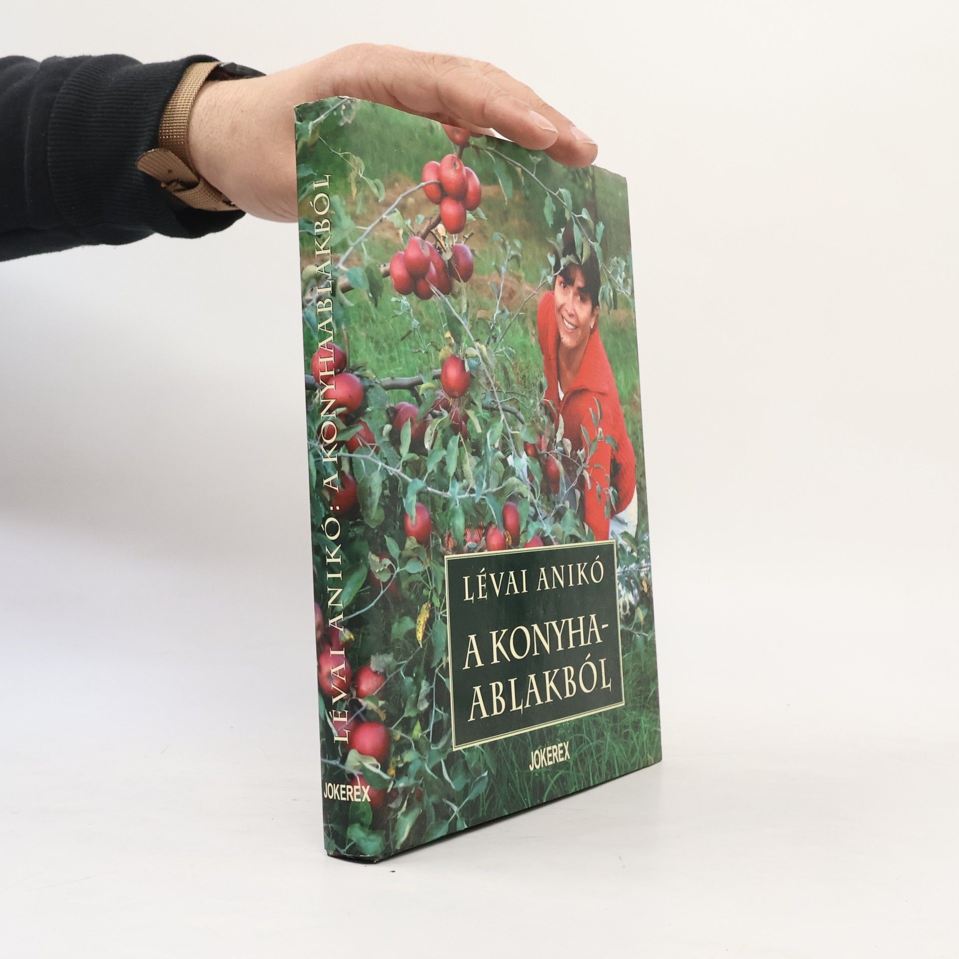 Anikó Lévai A konyhaablakból