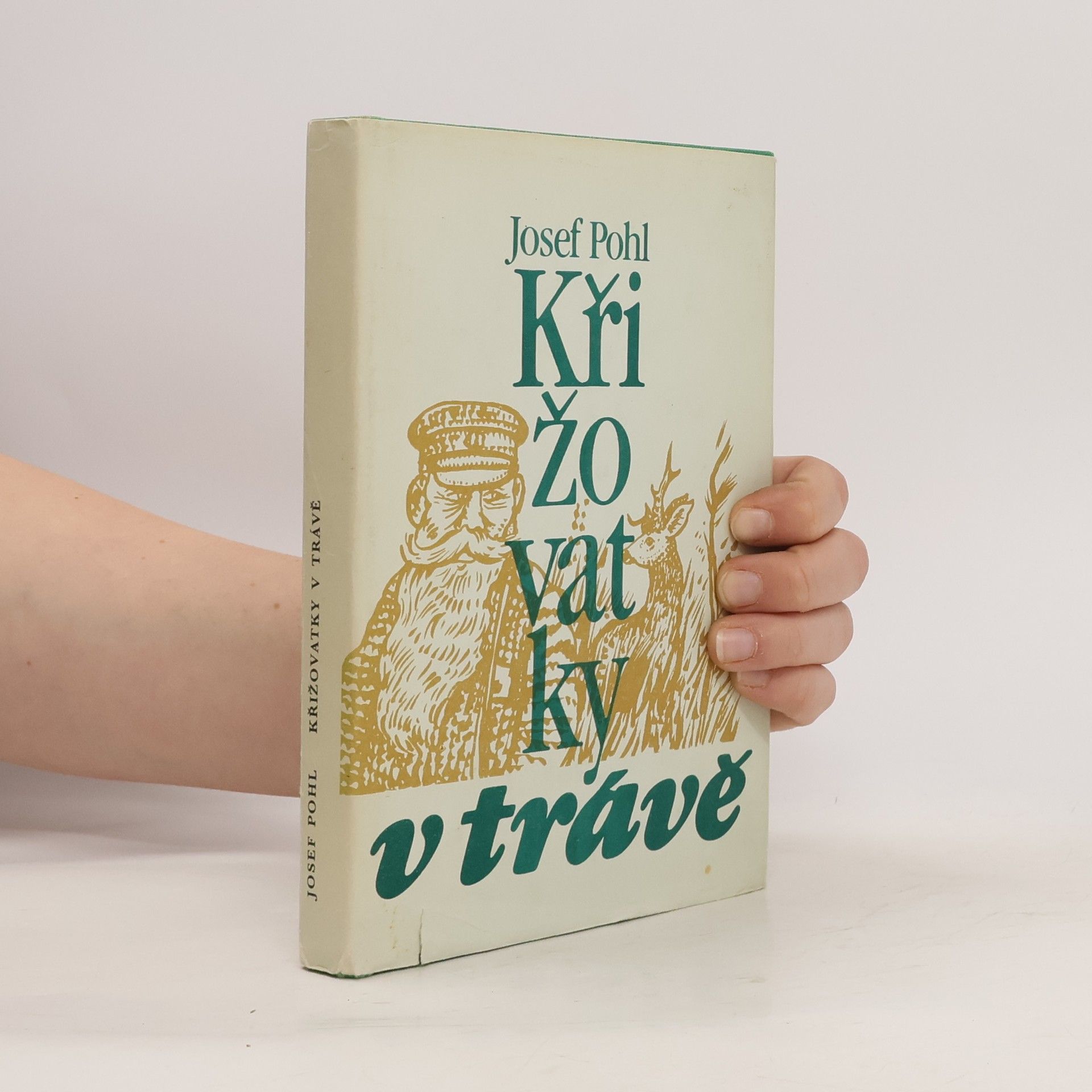 Křižovatky v trávě