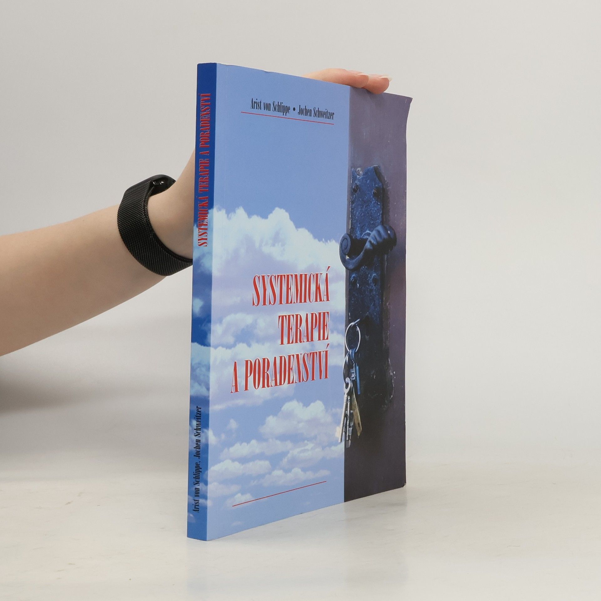 Systemická terapie a poradenství