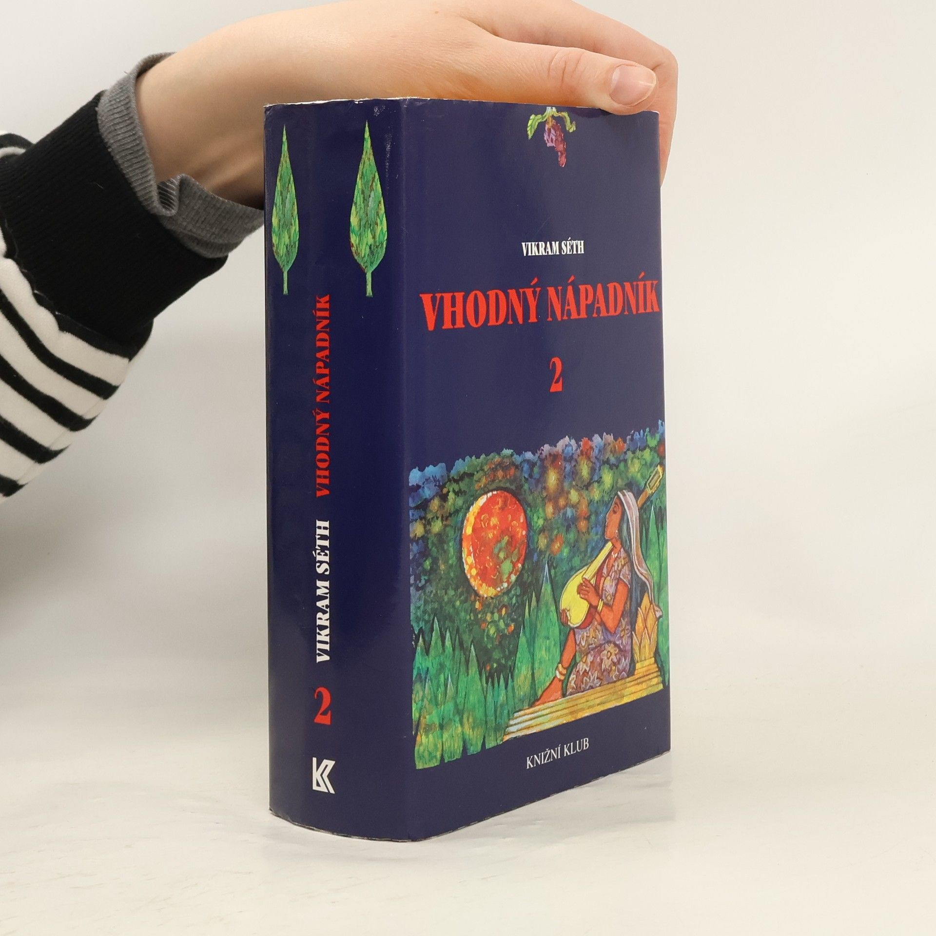 Vikram Seth Vhodný nápadník 2