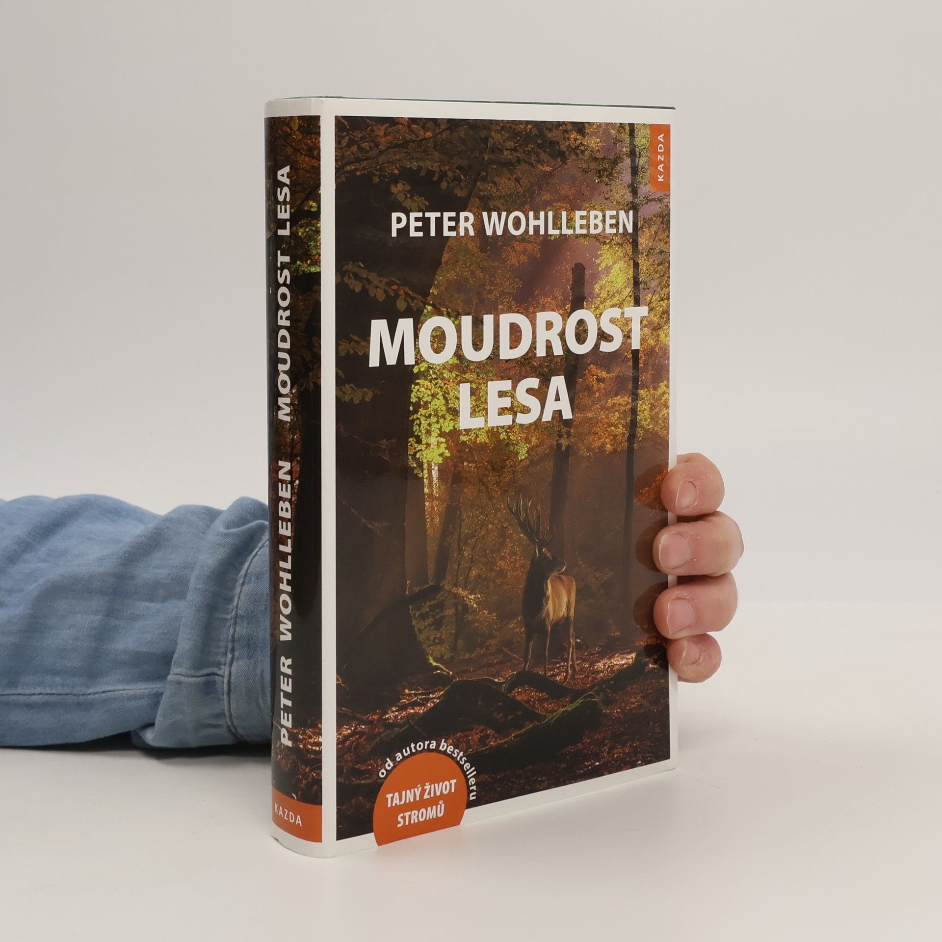 Moudrost lesa