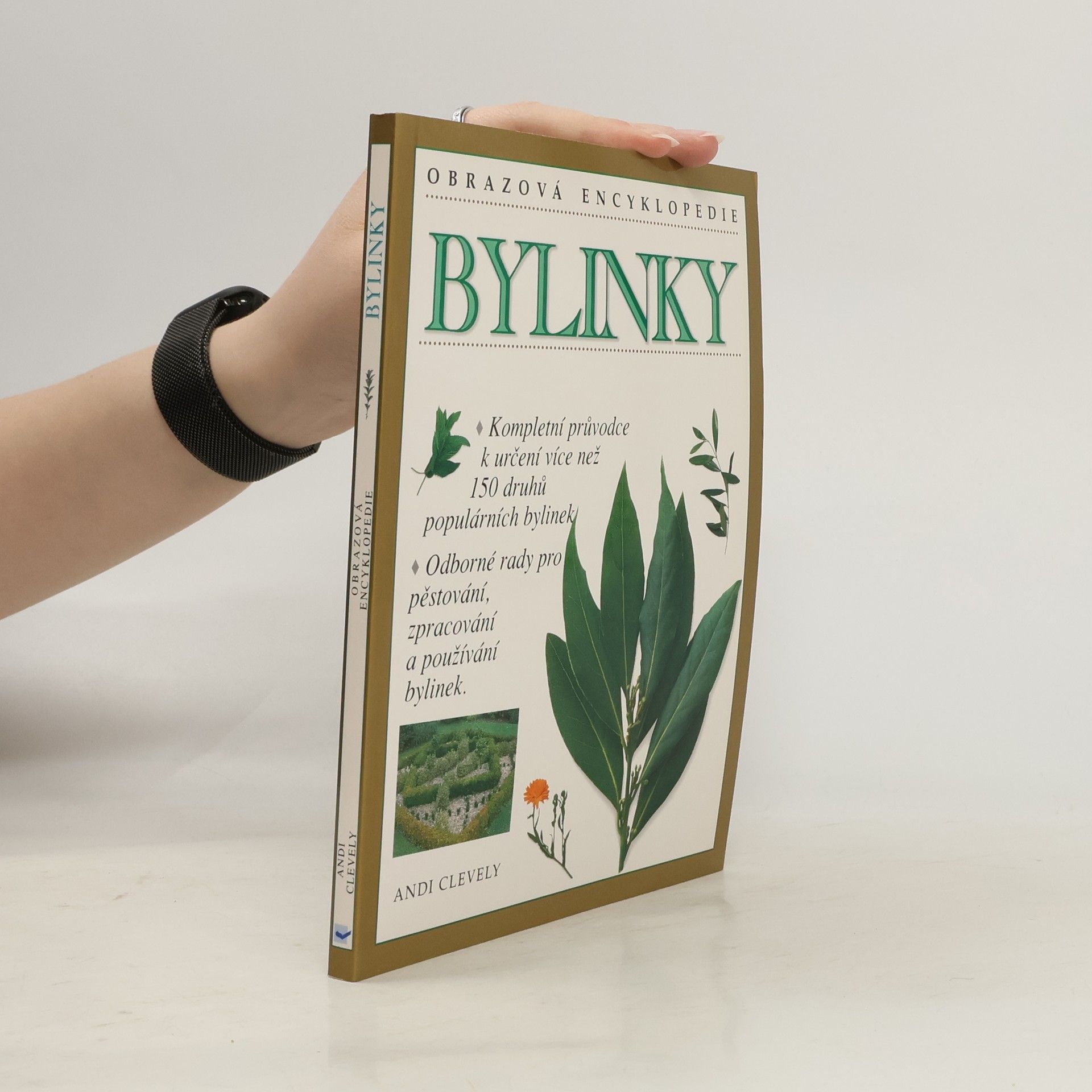 Andy Clevely Bylinky