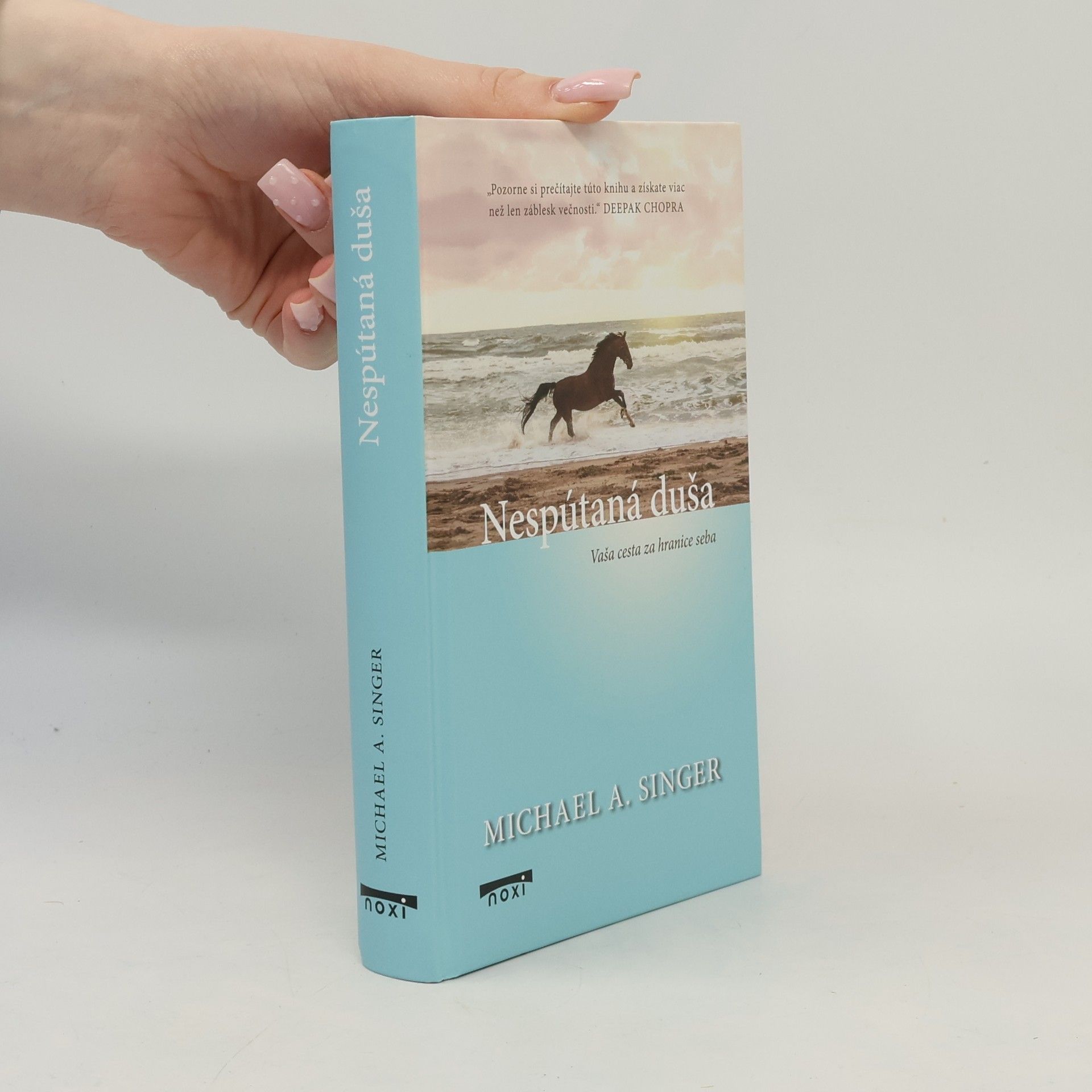 Michael A. Singer Nespútaná duša