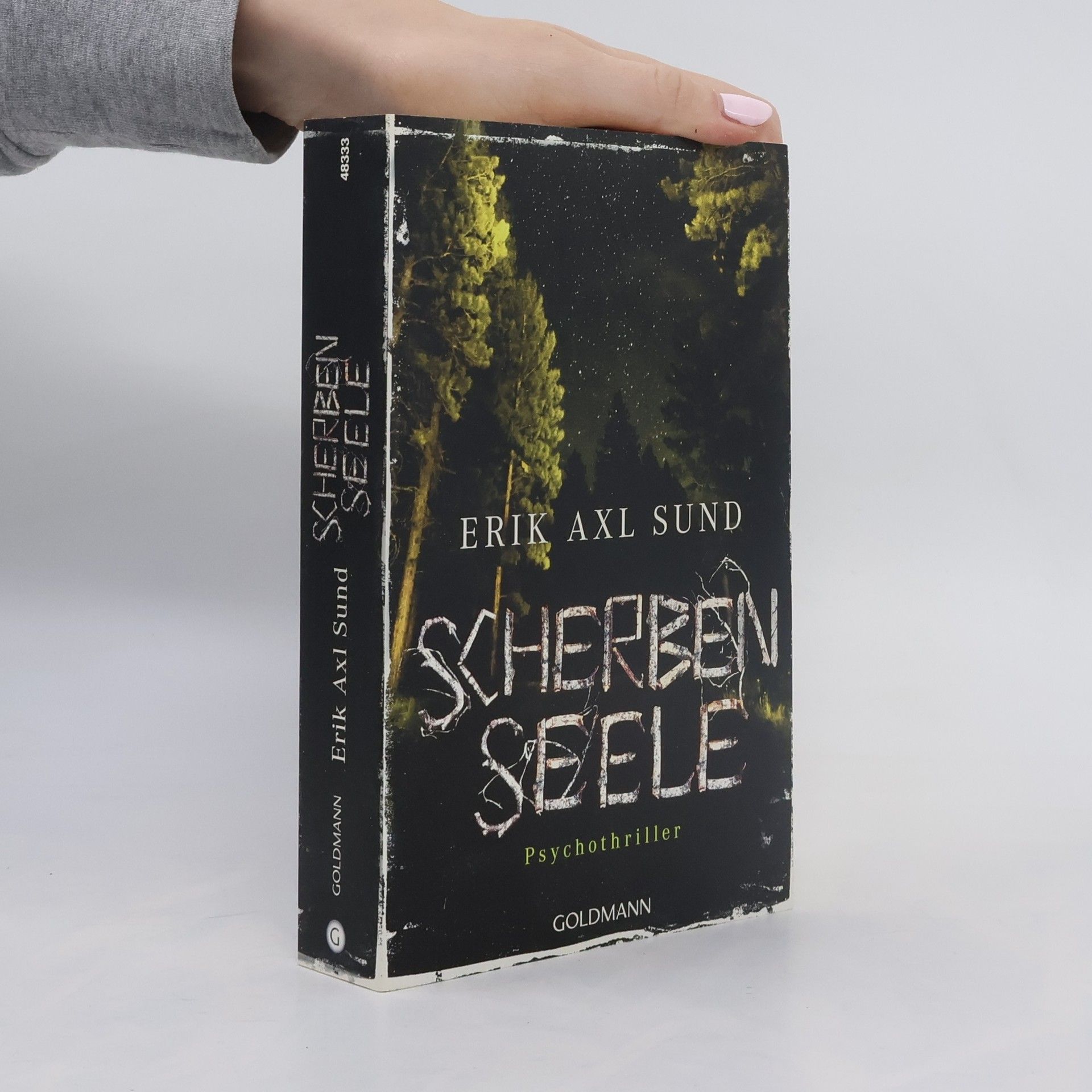 Erik Axl Sund Scherbenseele