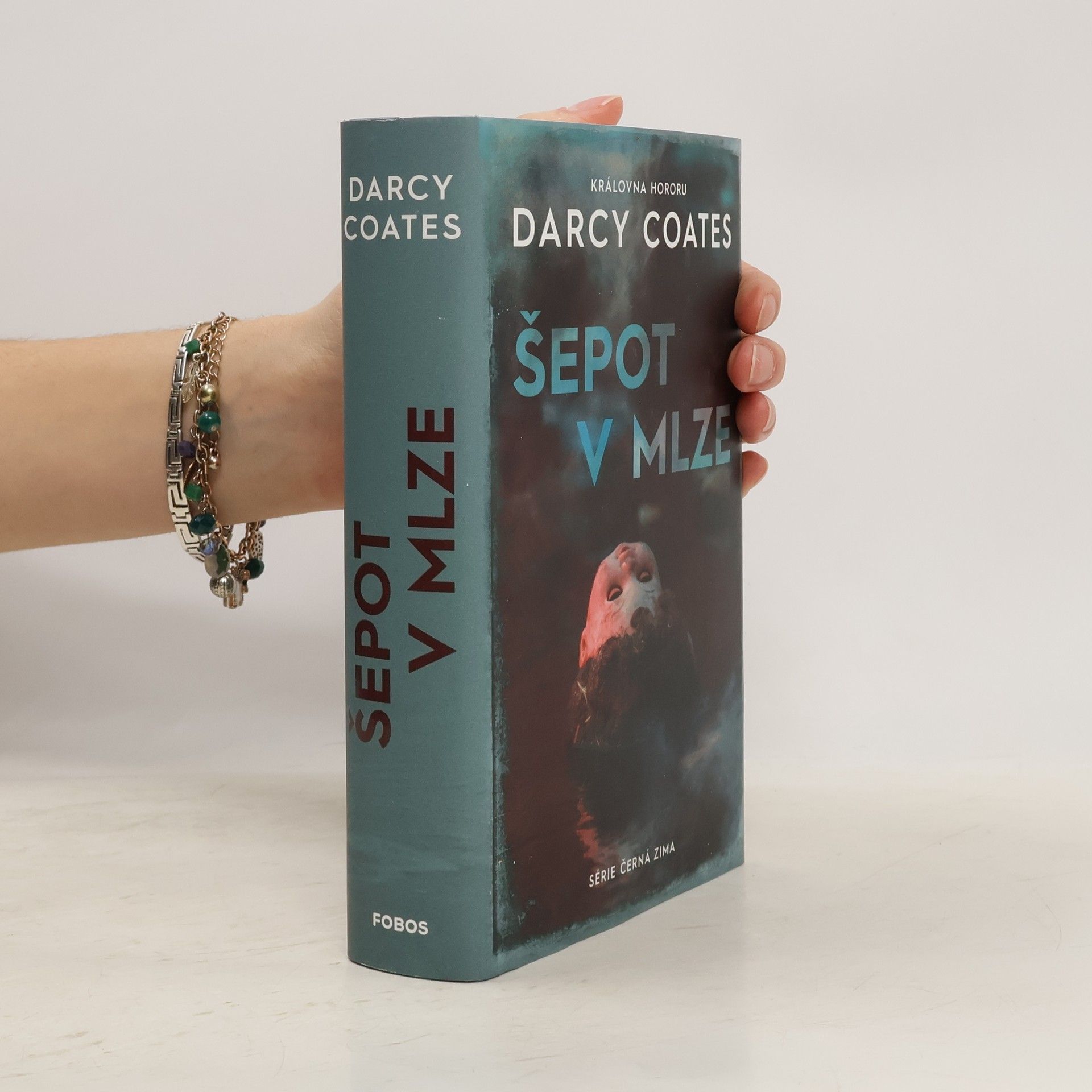 Darcy Coates Šepot v mlze