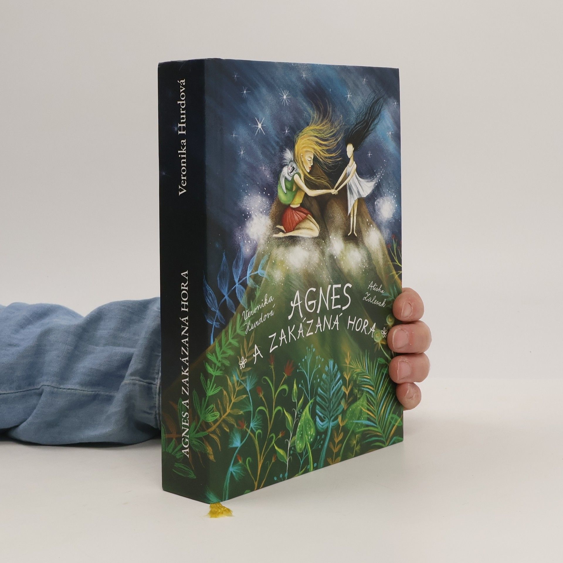 Veronika Hurdová Agnes a Zakázaná hora