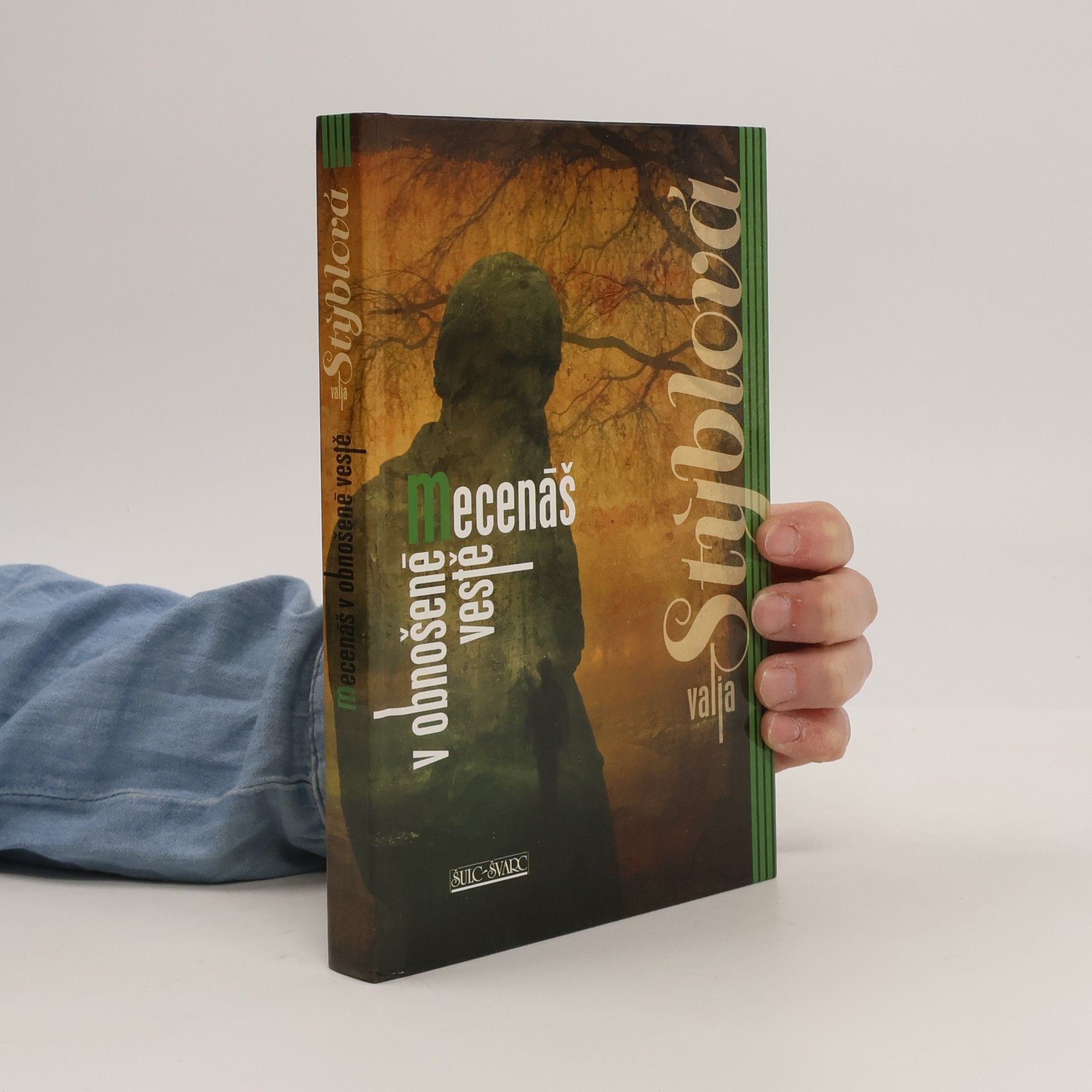 Valja Stýblová Mecenáš v obnošené vestě