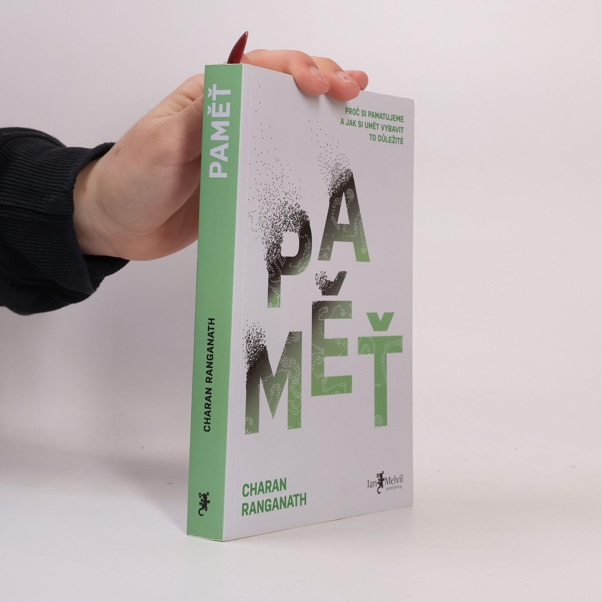 Charan Ranganath Paměť