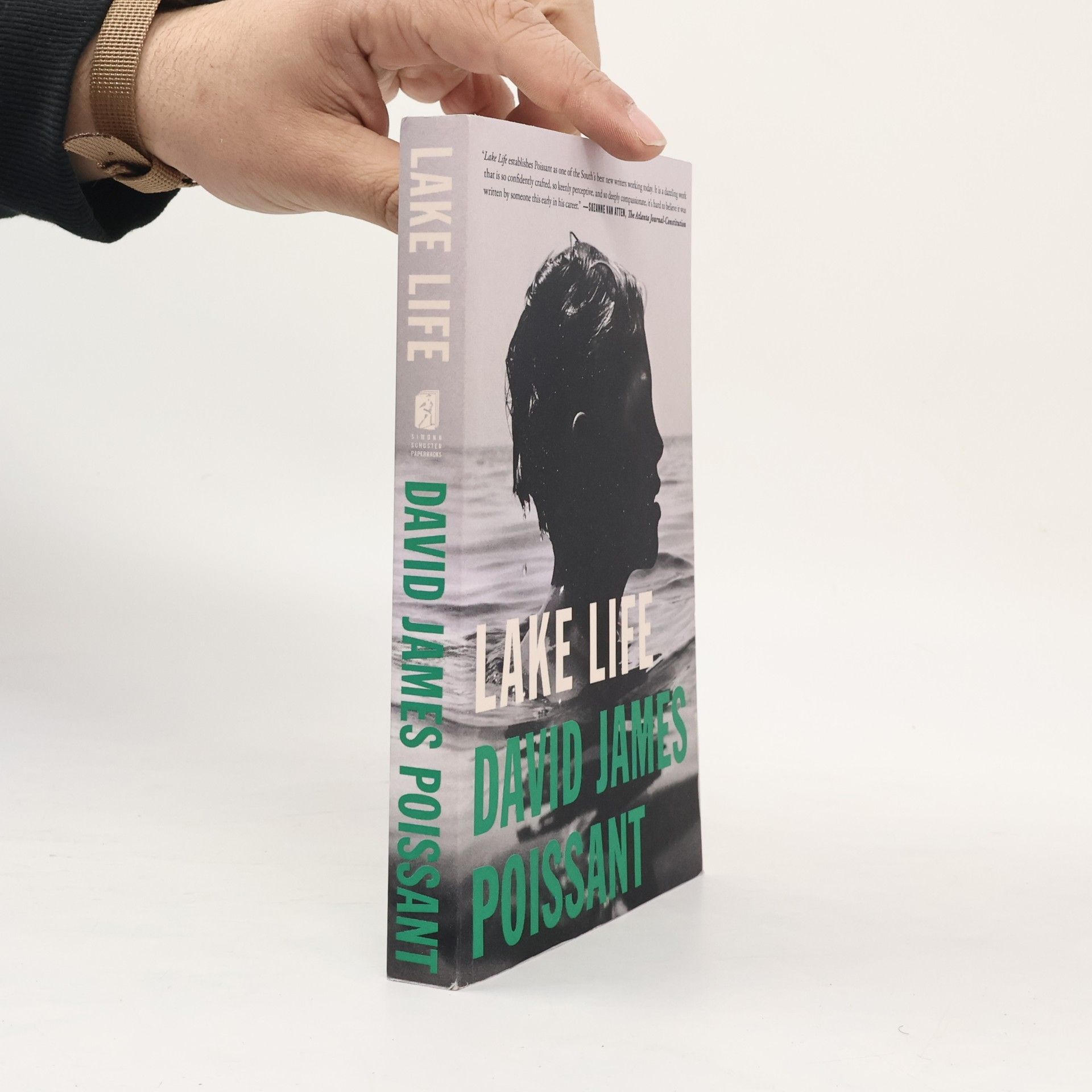 David James Poissant Lake Life
