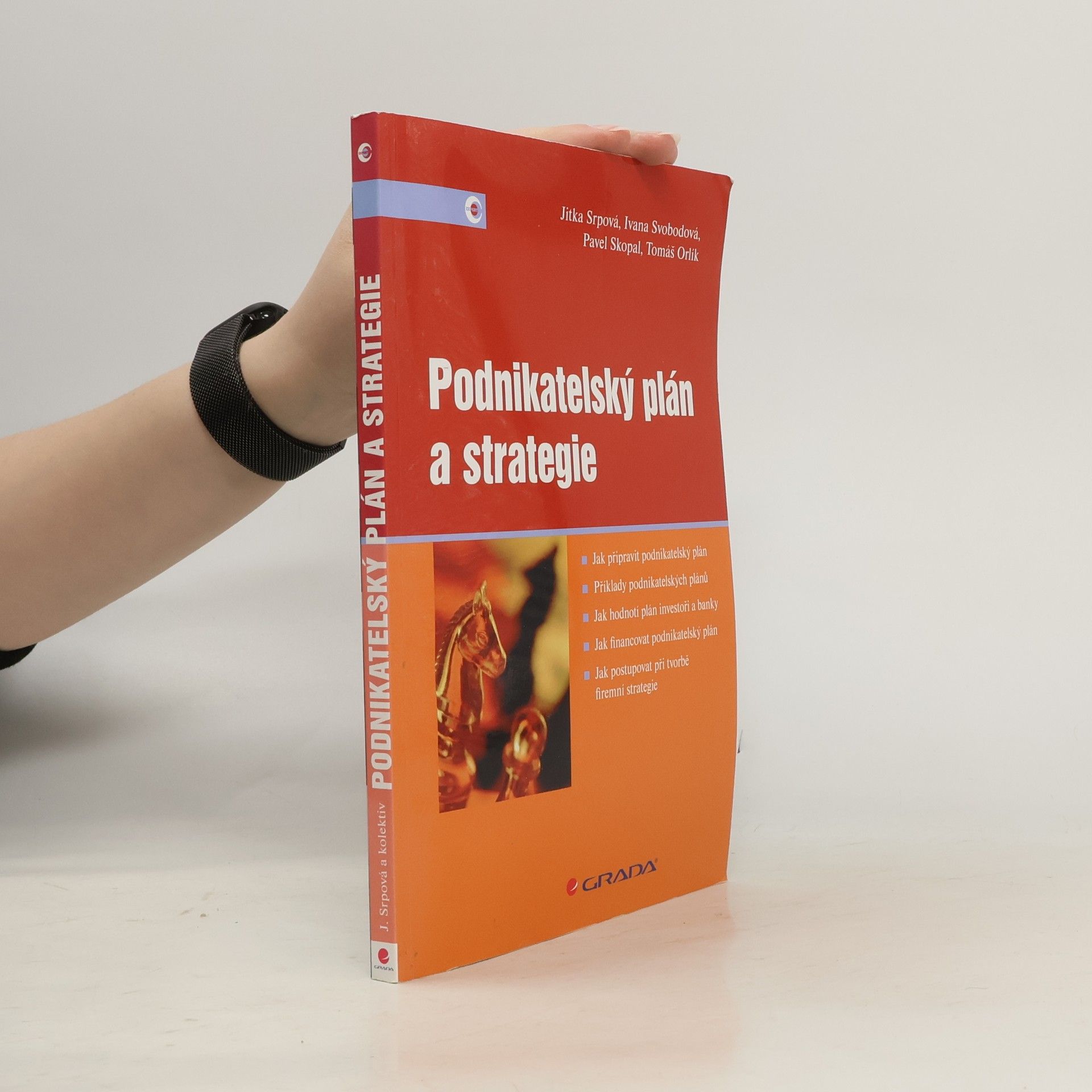 Jitka Srpová Podnikatelský plán a strategie