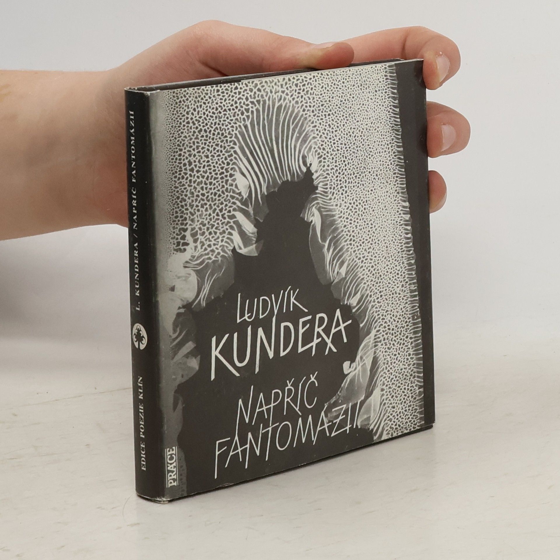Ludvík Kundera Napříč Fantomázií : čtrnáct cyklů z let 1971-1980