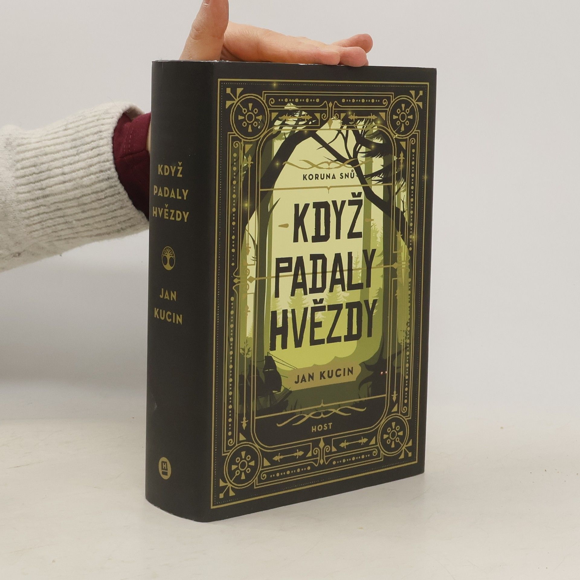 Jan Kucin Koruna snů. Když padaly hvězdy