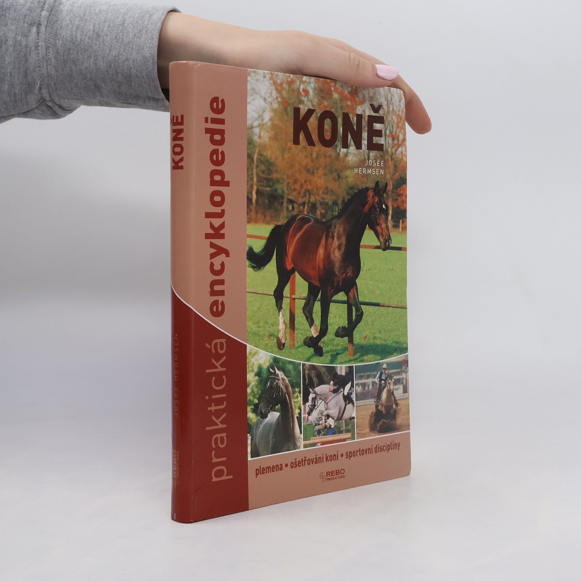 Josée Hermsen Koně. Praktická encyklopedie