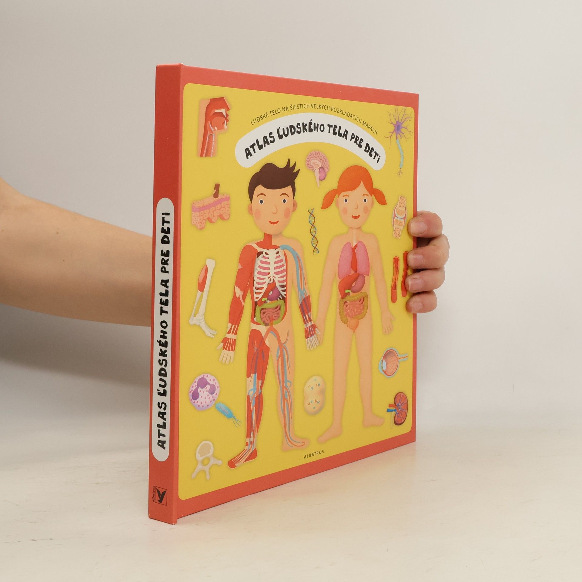 Oldřich Růžička Atlas ľudského tela pre deti : ľudské telo na šiestich veľkých rozkladacích mapách