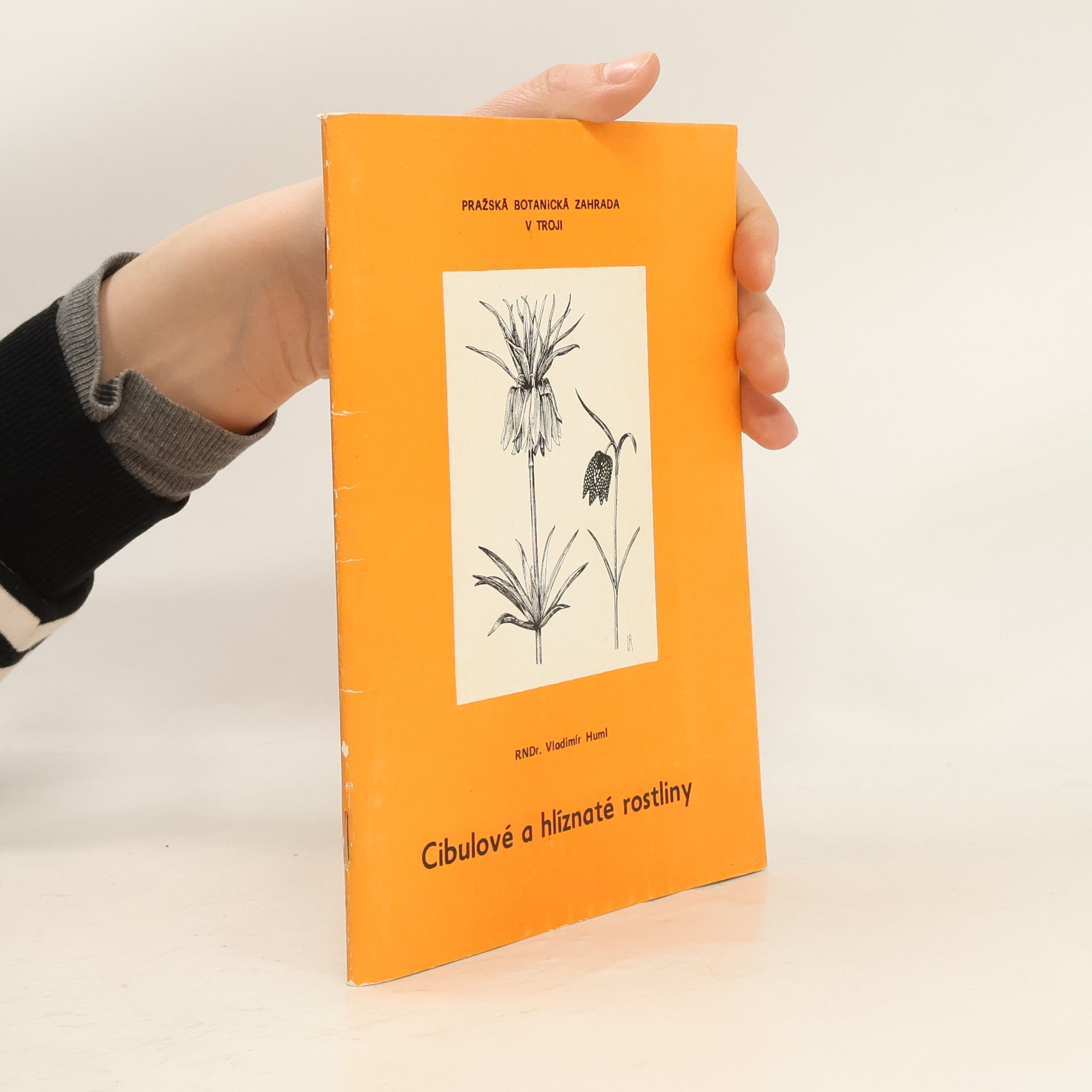 Cibulové a hlíznaté rostliny v Pražské botanické zahradě