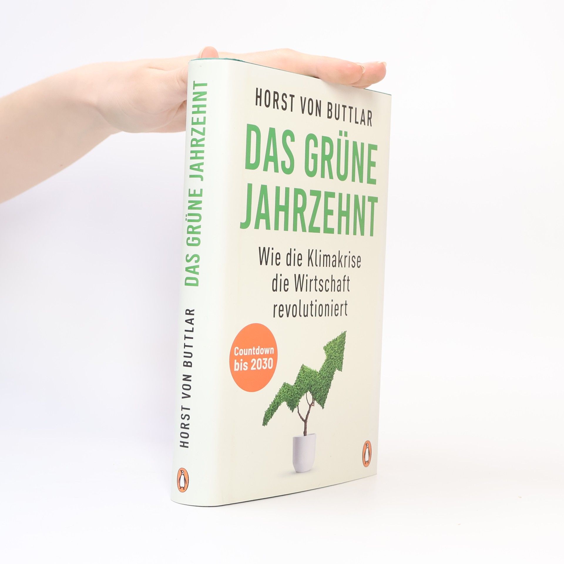 Horst von Buttlar Das grüne Jahrzehnt