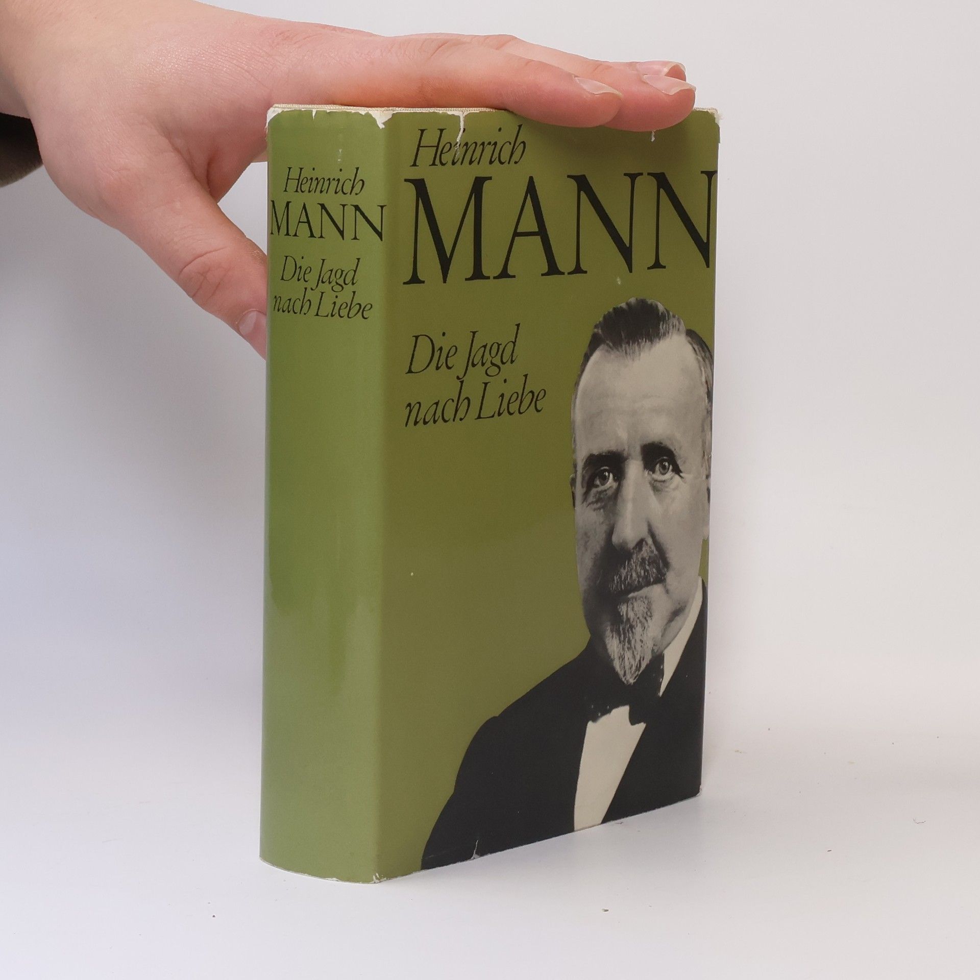 Heinrich Mann Die Jagd nach Liebe