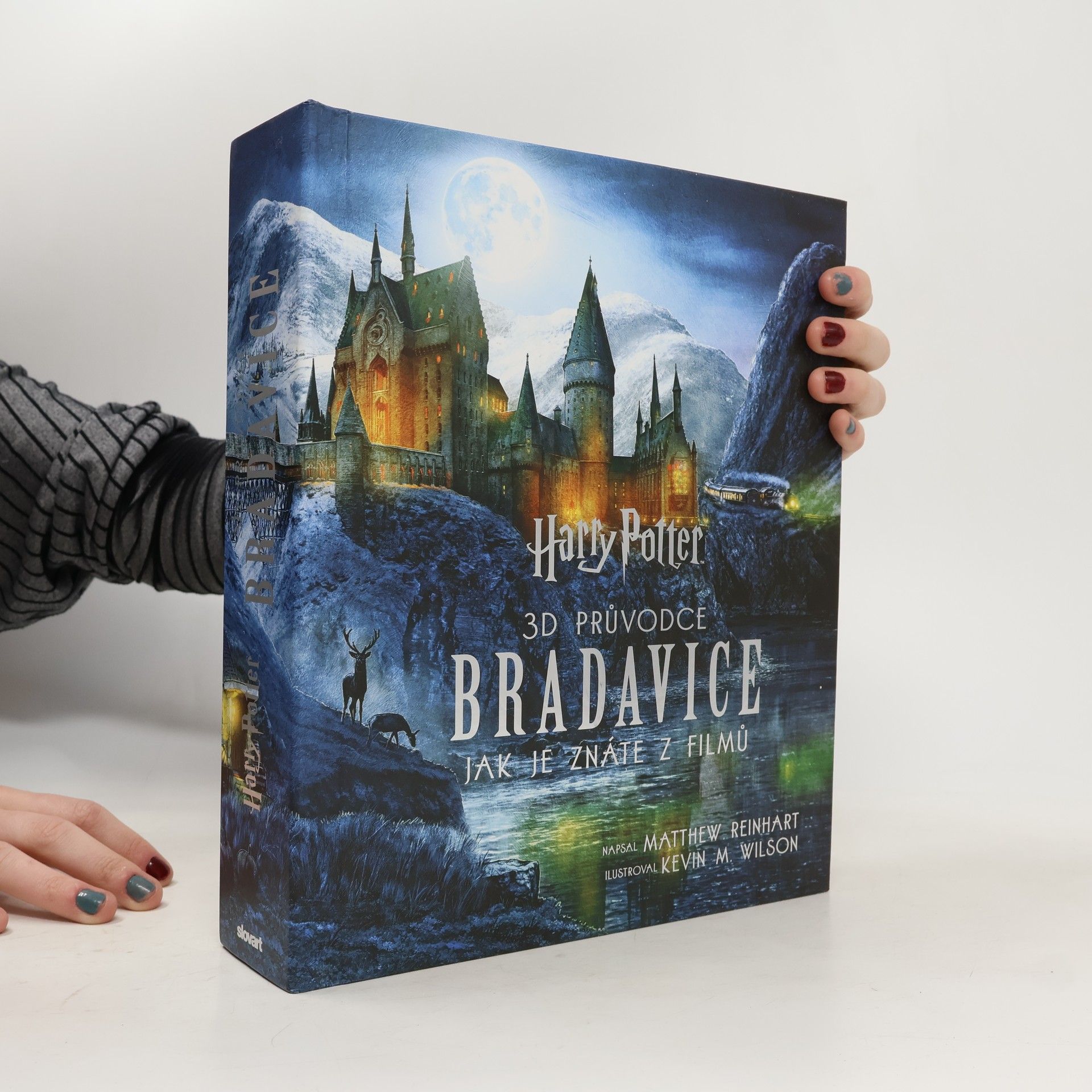 Matthew Reinhart Harry Potter – 3D průvodce: Bradavice, jak je znáte z filmů
