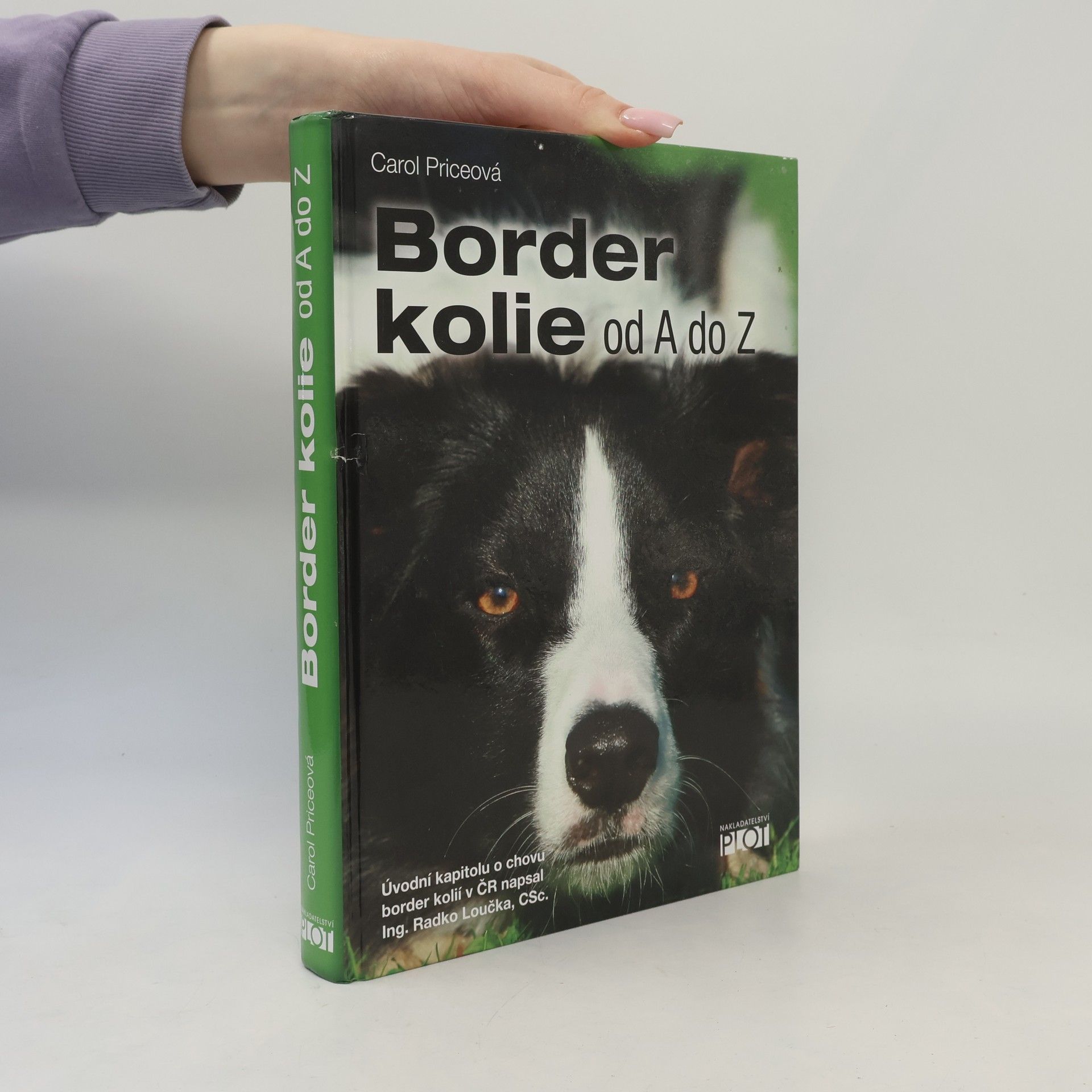Carol Price Border kolie od A do Z