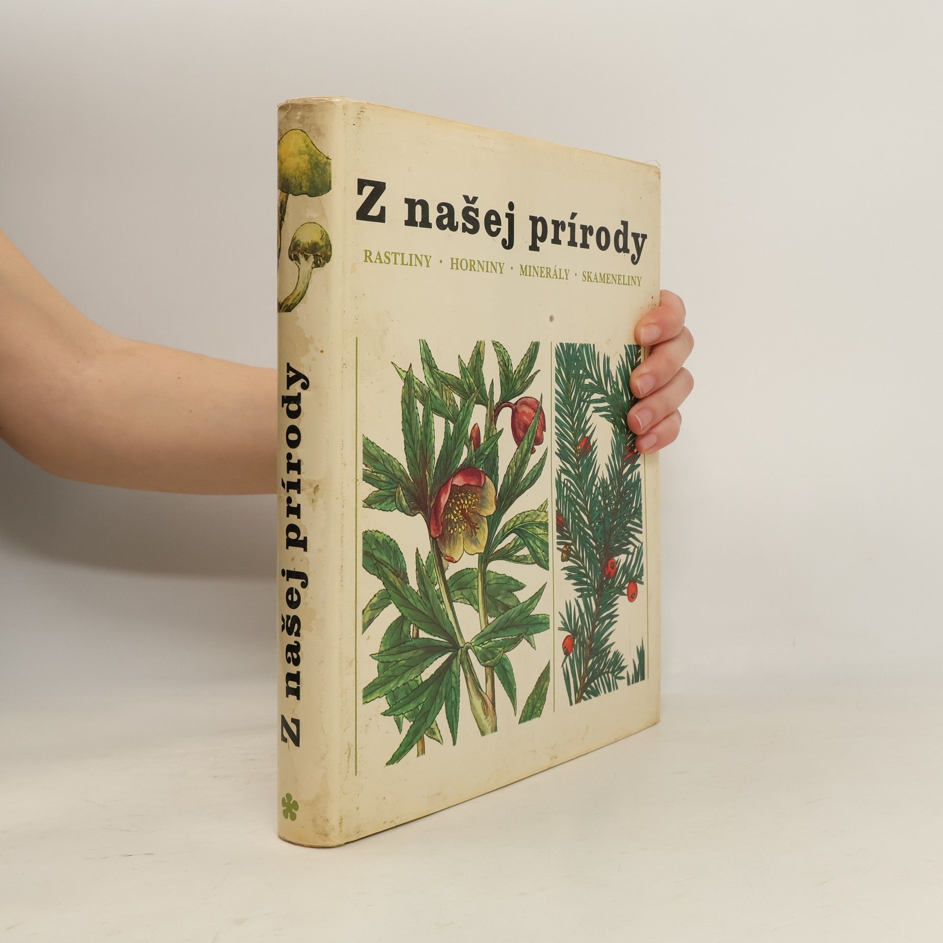 Jindřich Krejča Z našej prírody