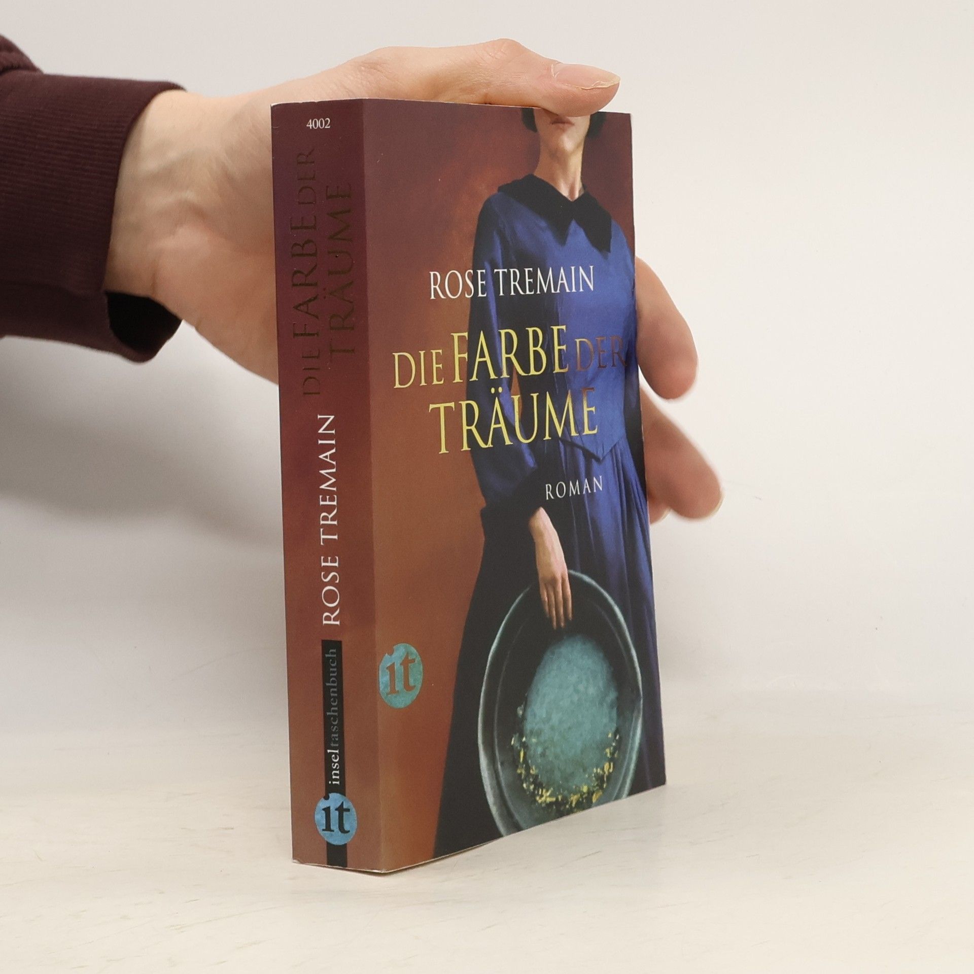 Rose Tremain Die Farbe der Träume