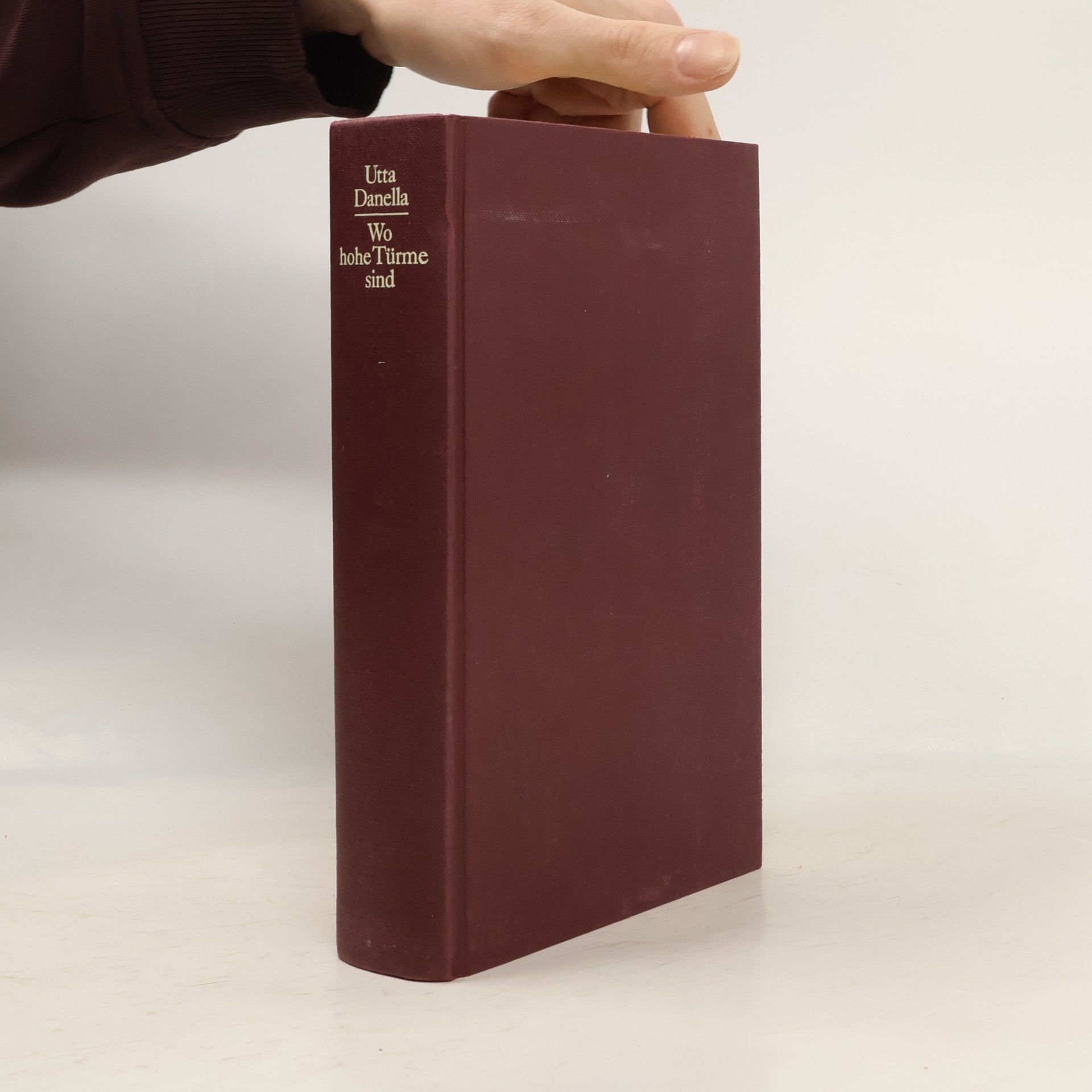 Utta Danella Wo hohe Türme sind