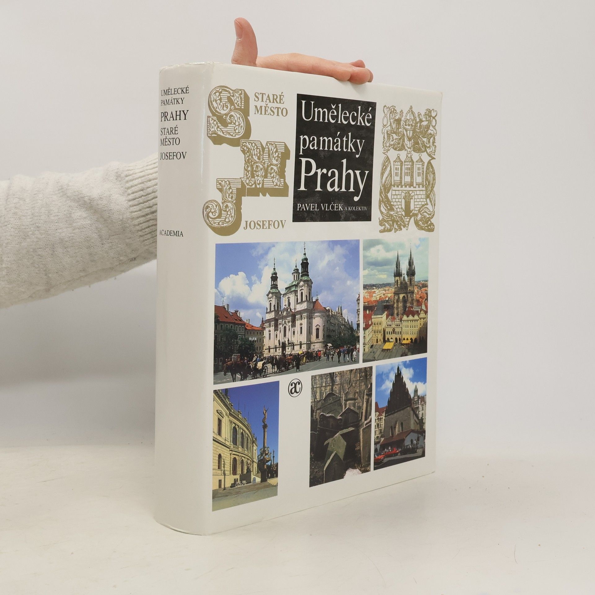 Pavel Vlček Umělecké památky Prahy. Staré město - Josefov.