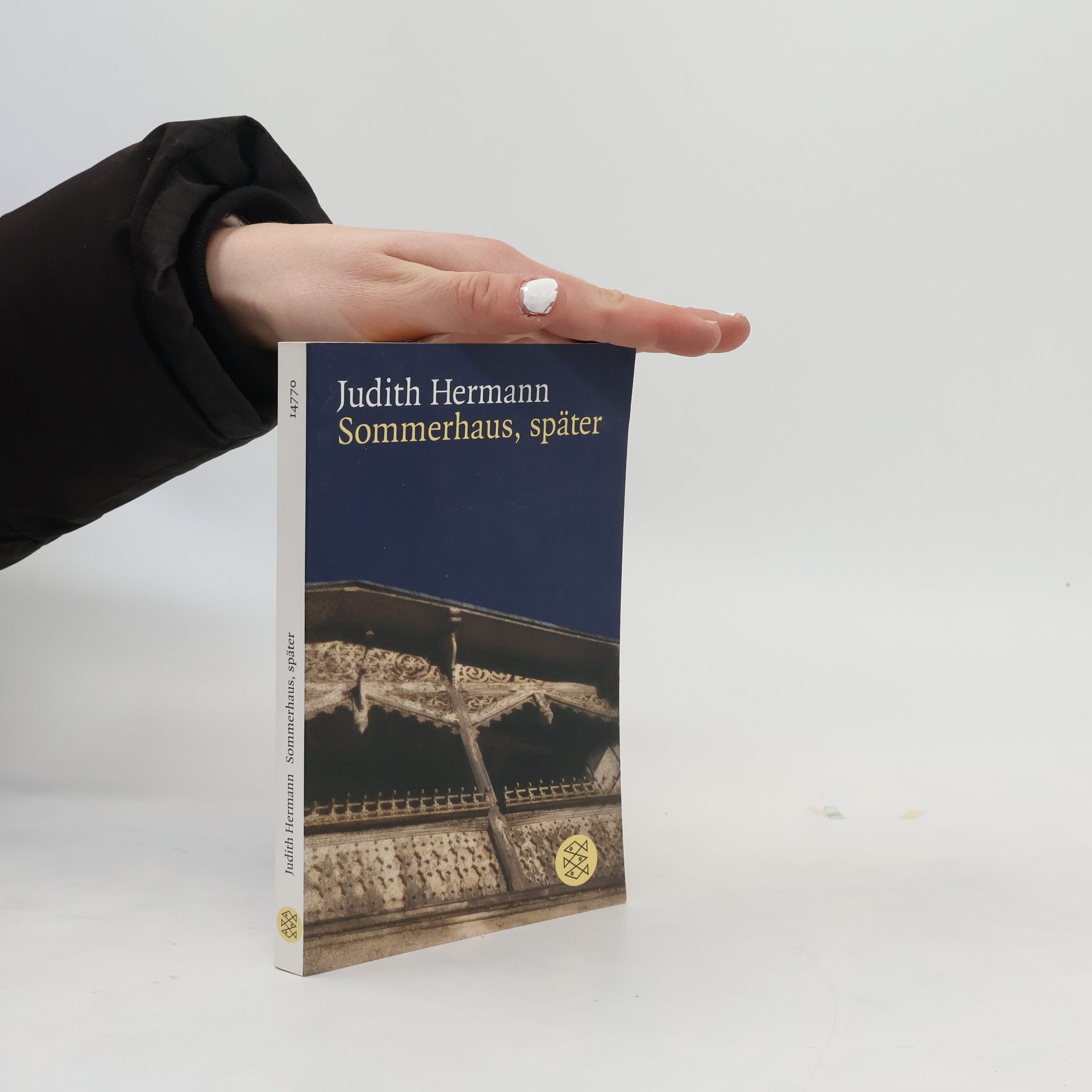 Judith Hermann Sommerhaus, später : Erzählungen