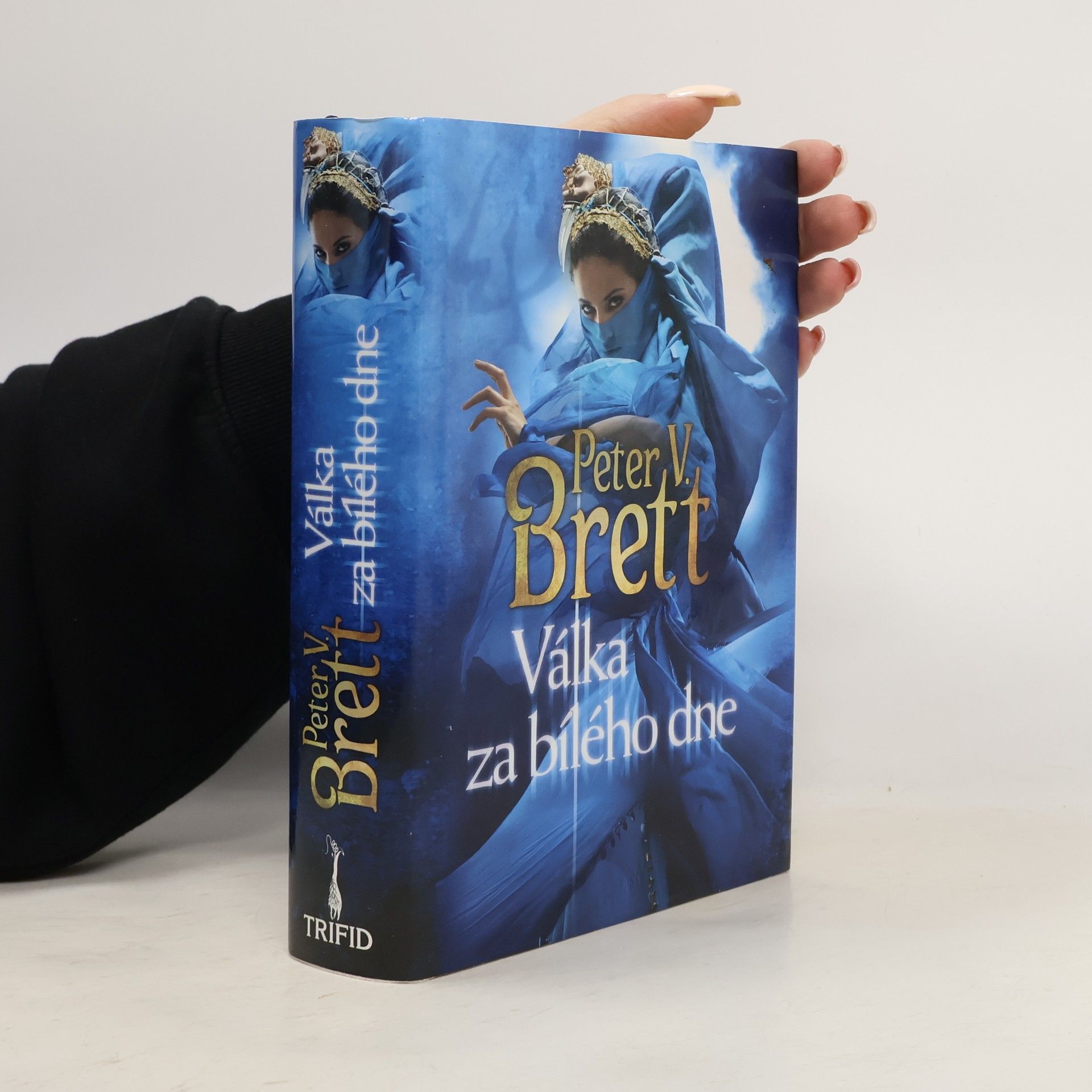 Peter V. Brett Válka za bílého dne