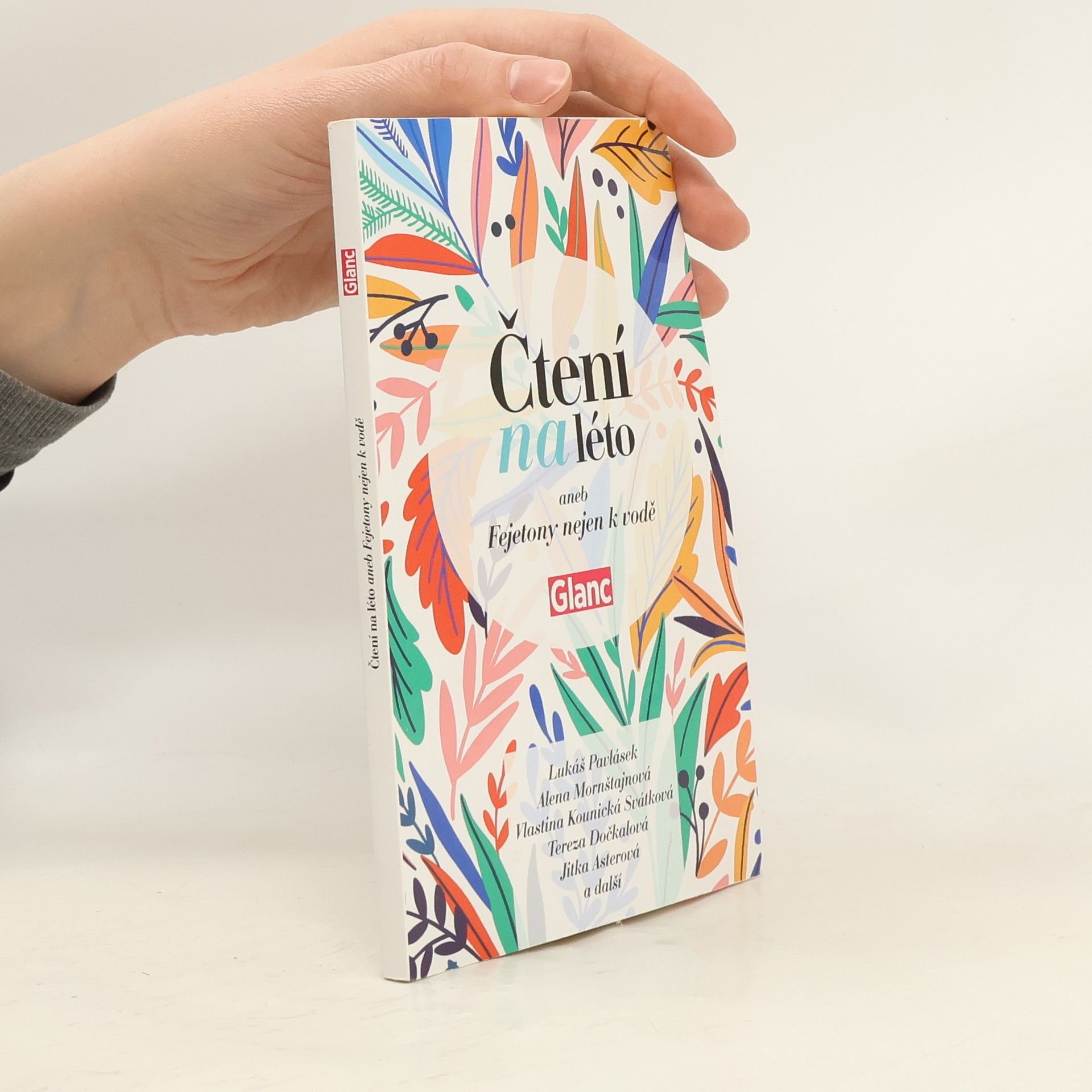 Kolektív autorov Čtení na léto aneb Fejetony nejen k vodě