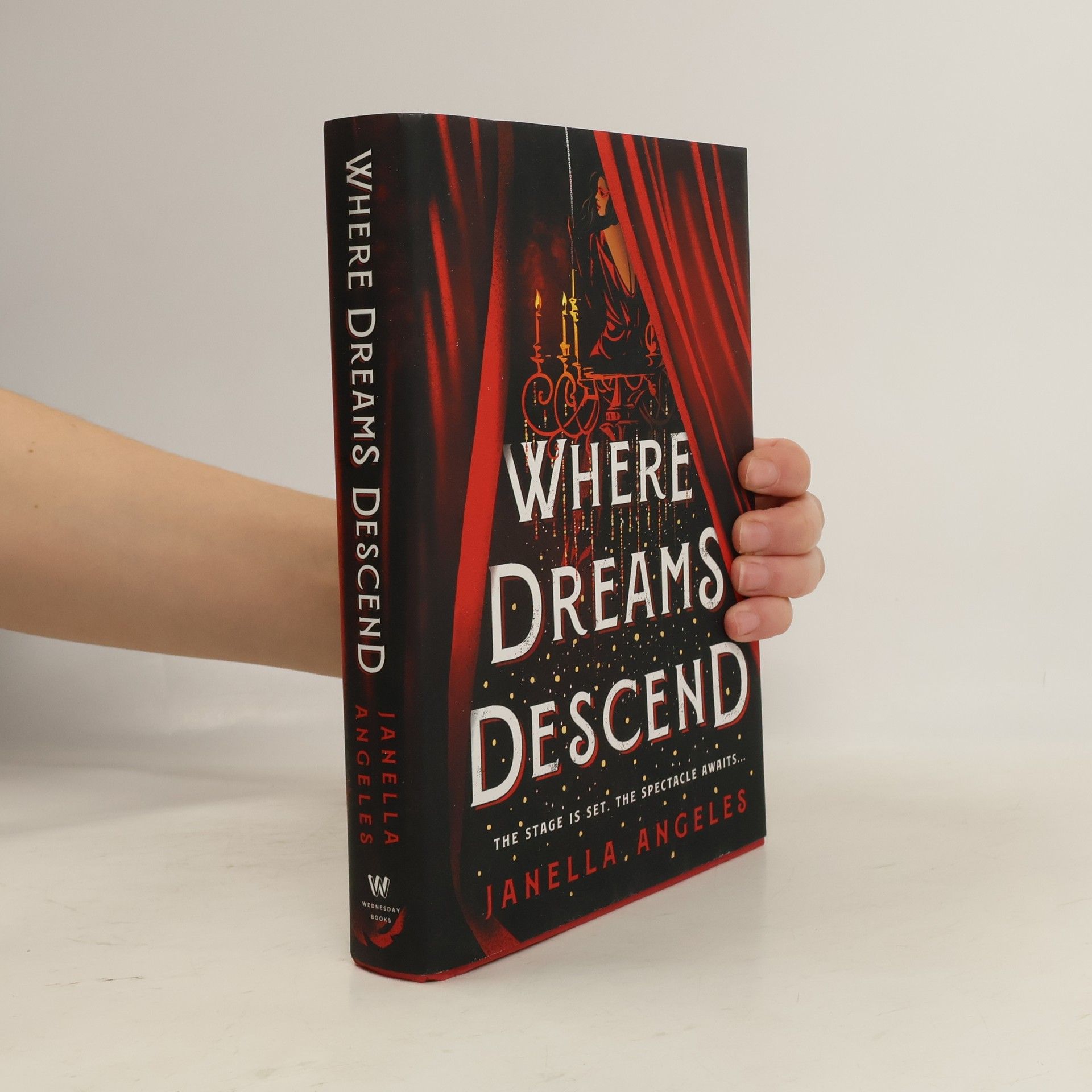 Janella Angeles Where Dreams Descend