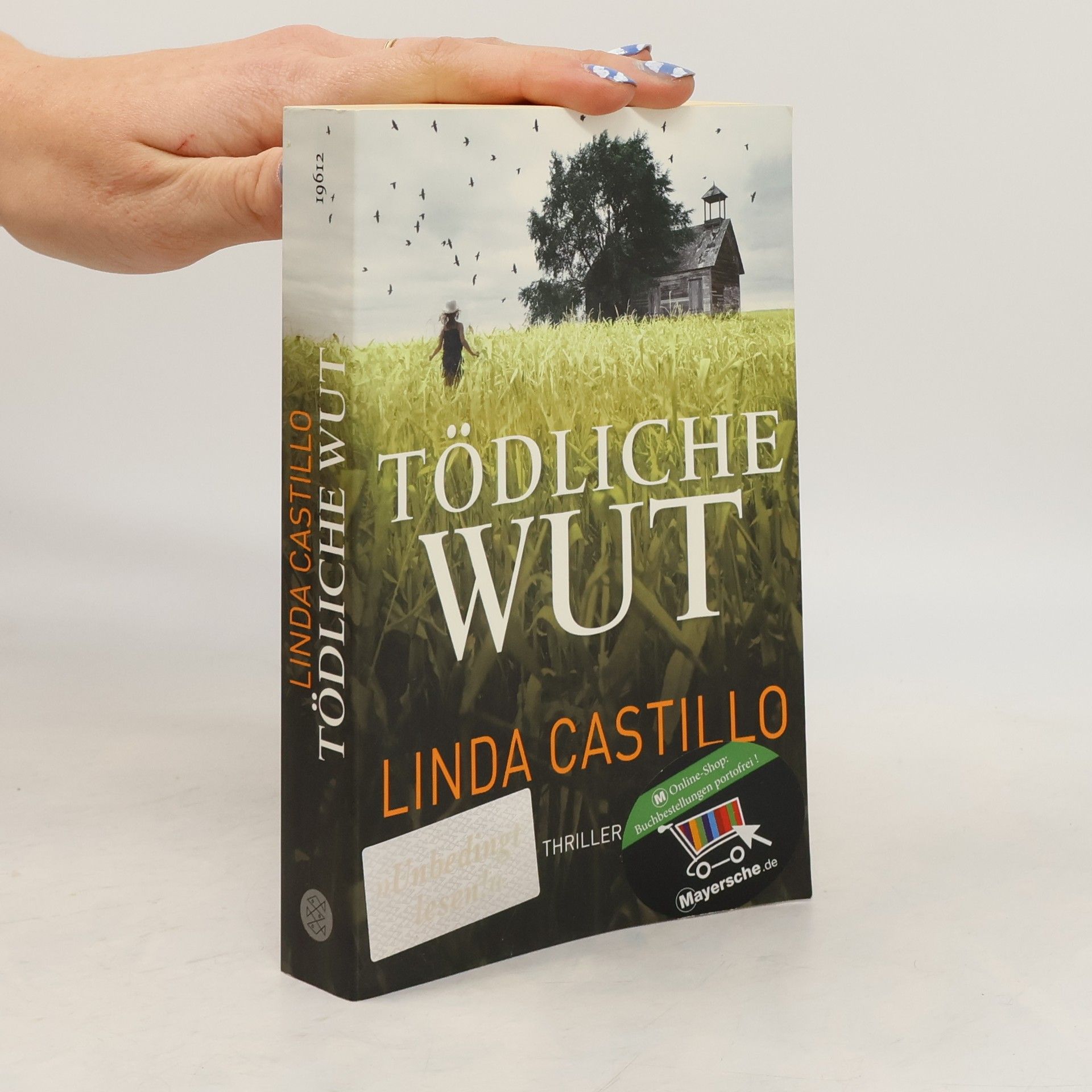 Linda Castillo Tödliche Wut