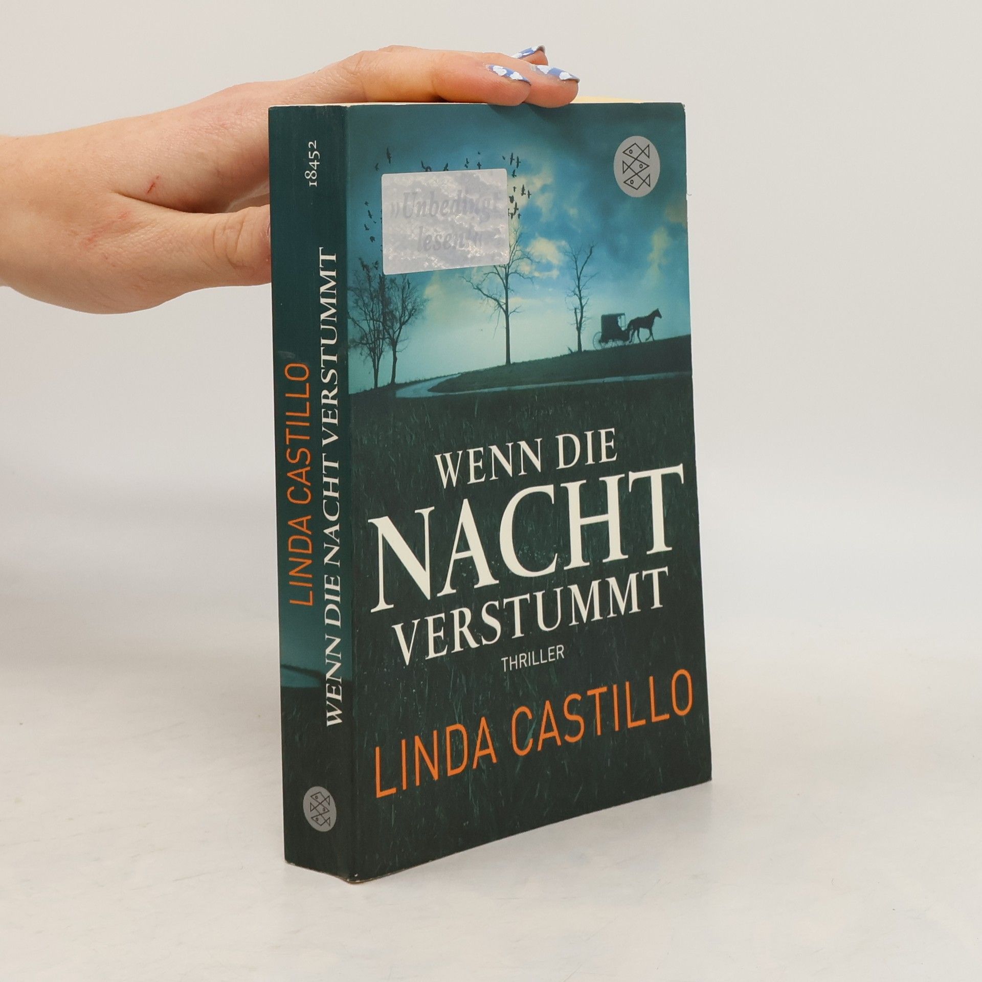 Linda Castillo Wenn die Nacht verstummt
