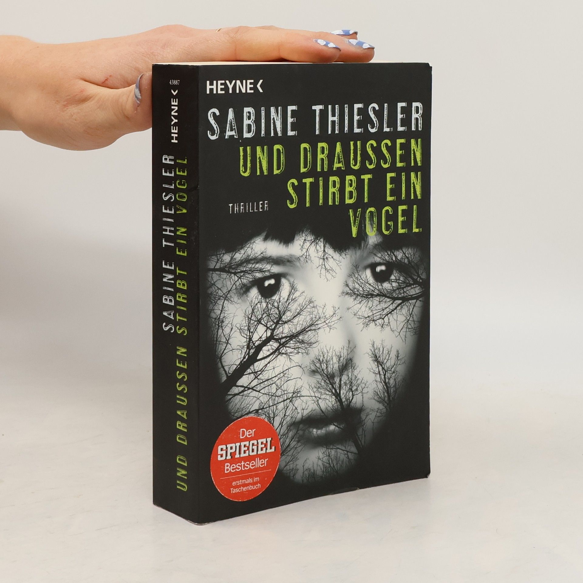 Sabine Thiesler Und draußen stirbt ein Vogel