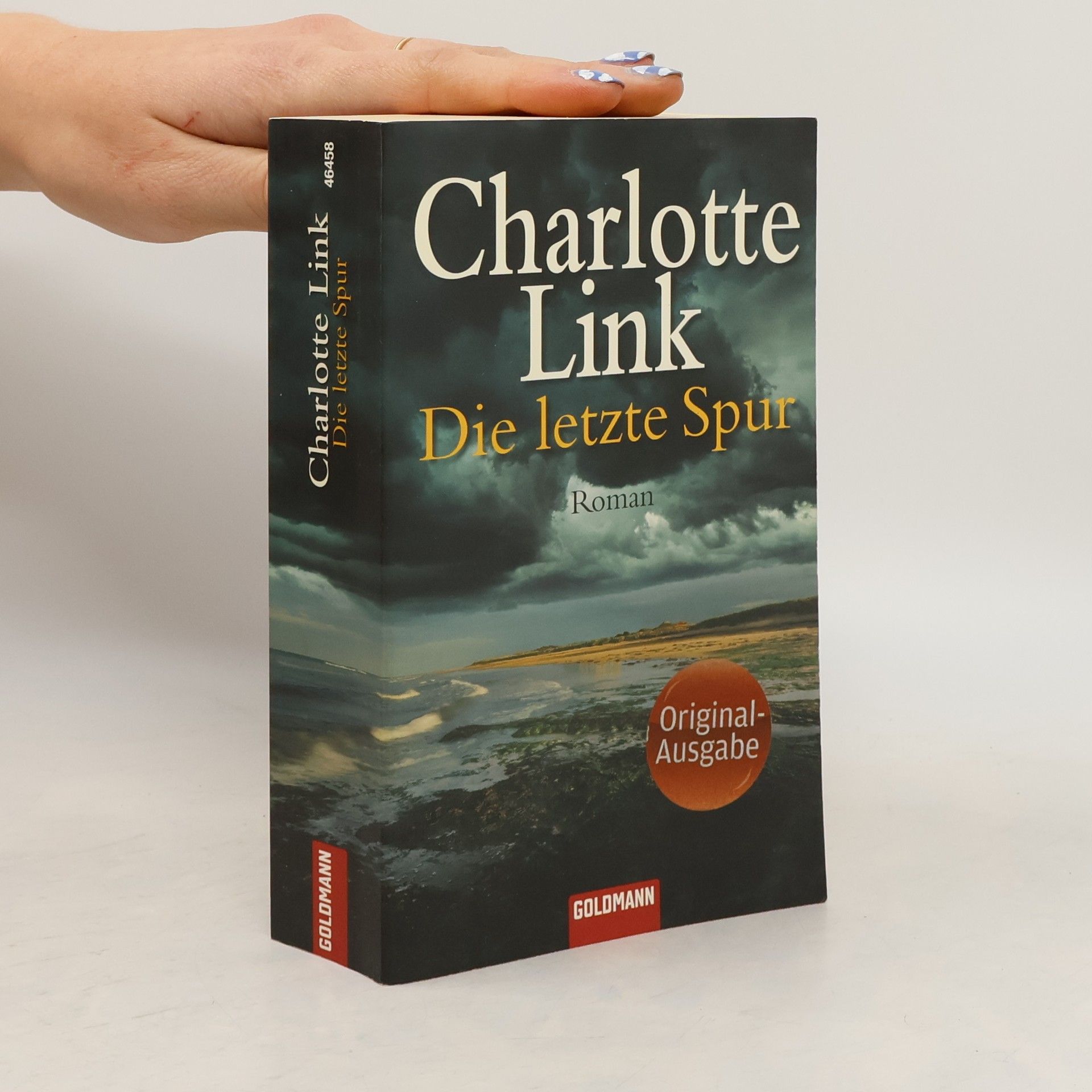 Charlotte Link Die letzte Spur