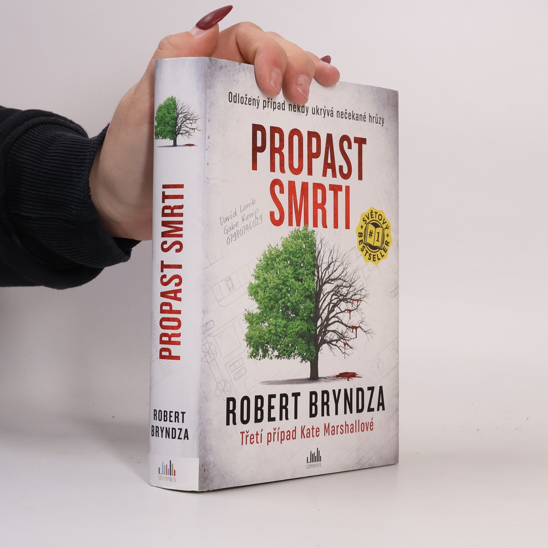 Robert Bryndza Propast smrti