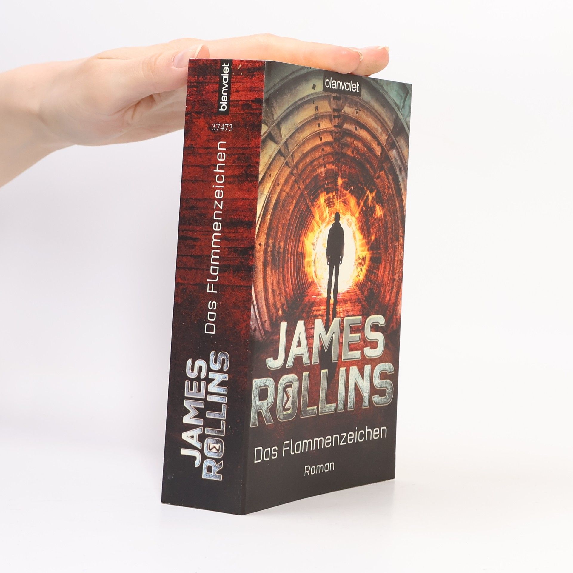 James Rollins Das Flammenzeichen