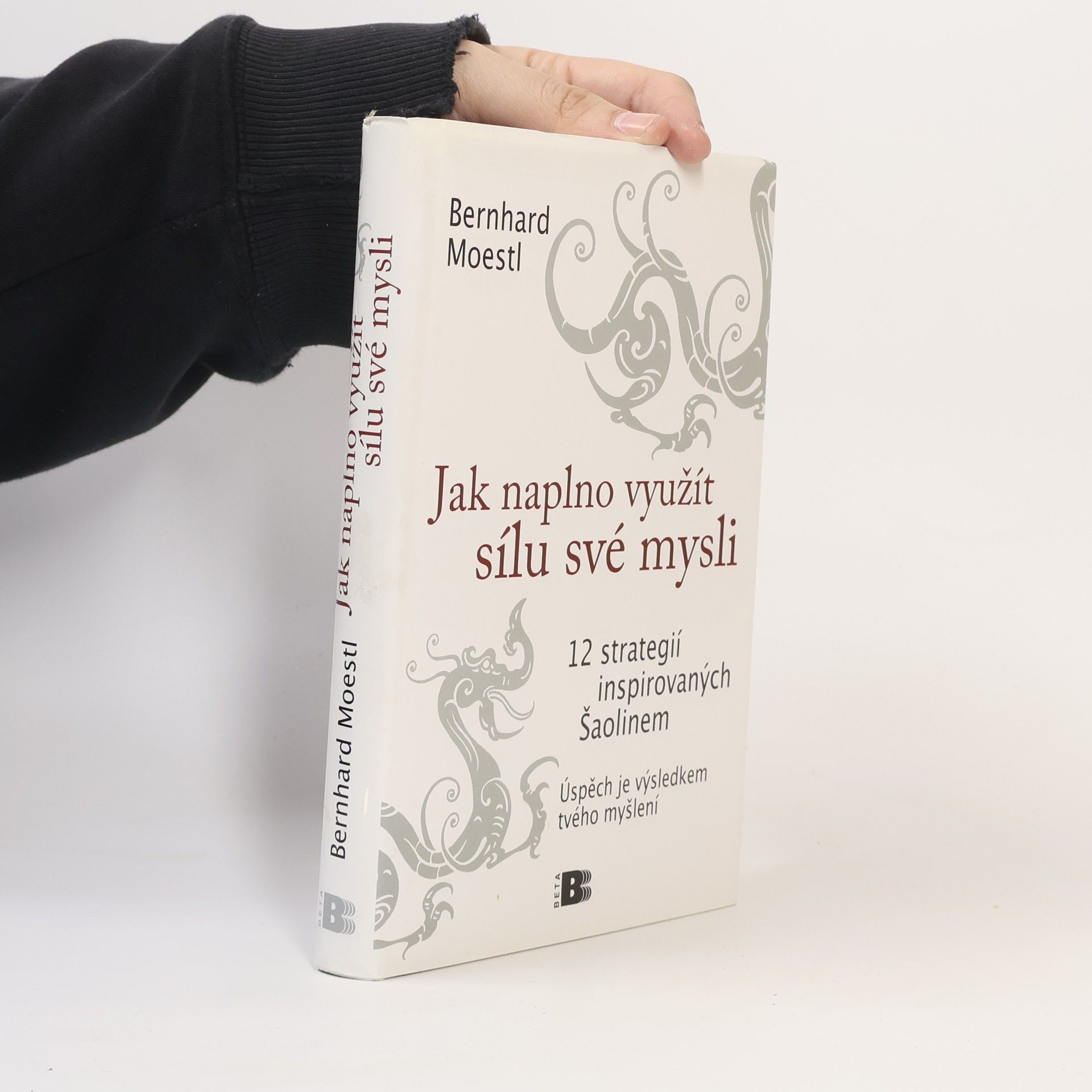 Bernhard Moestl Jak naplno využít sílu své mysli