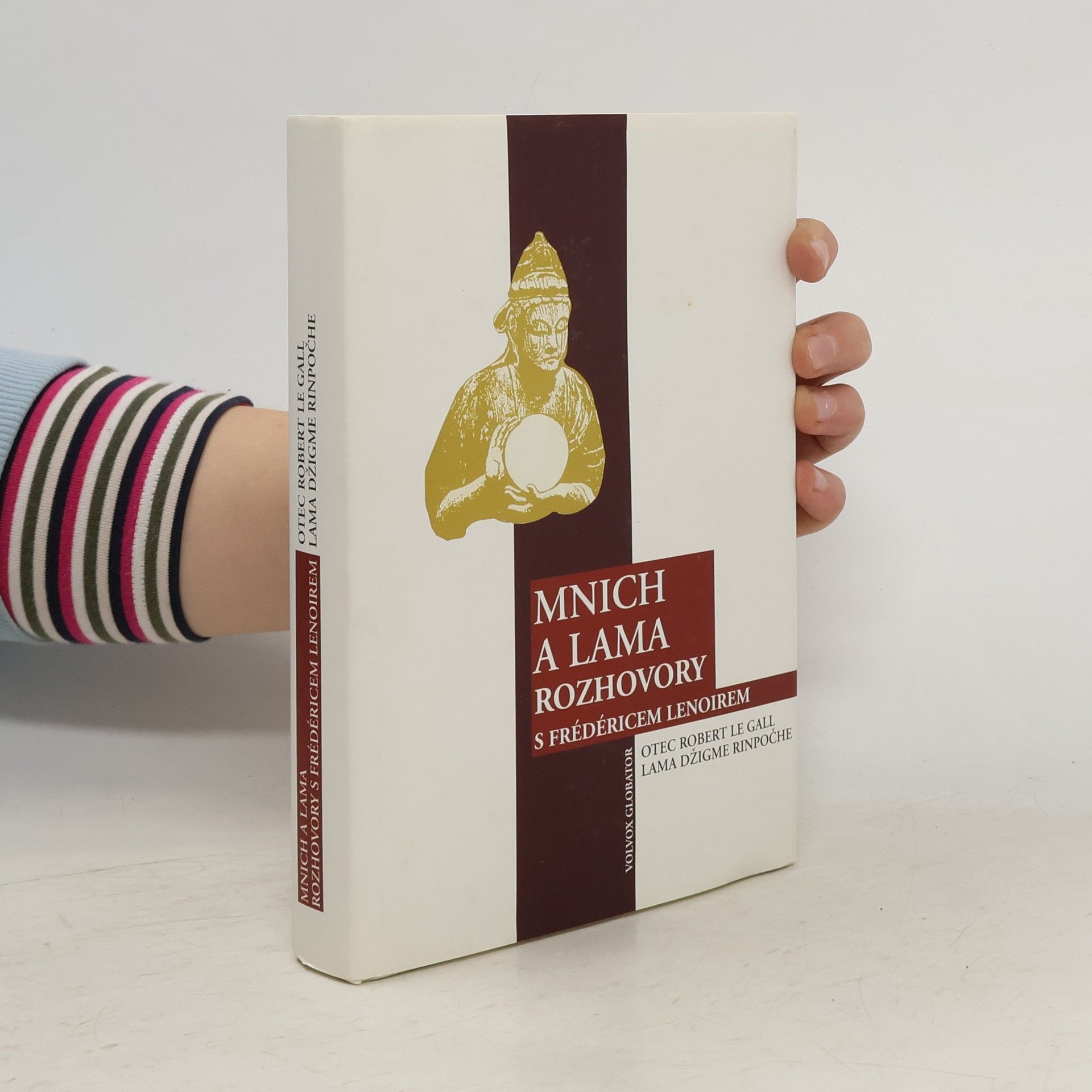 Mnich a lama. Rozhovory s Frédéricem Lenoirem