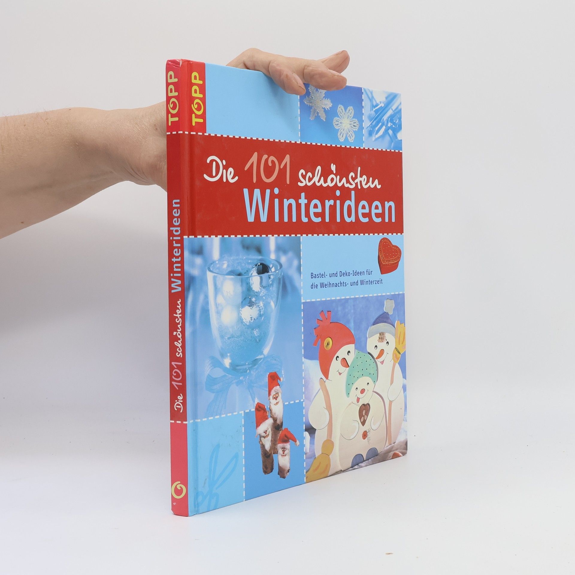 Auteurscollectief Die 101 schönsten Winterideen